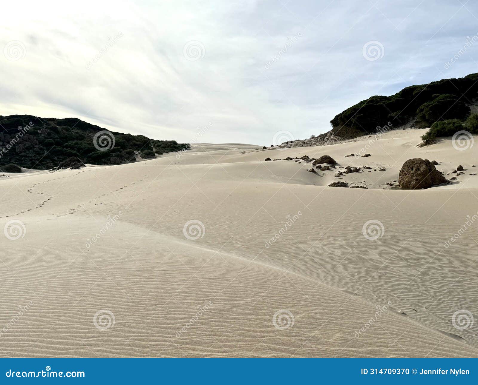 the dunes of bolonia