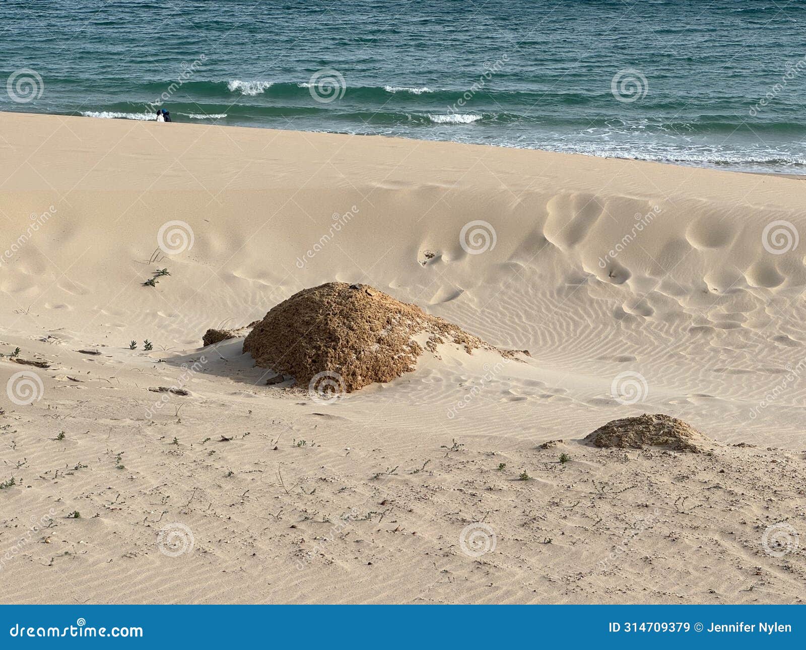 the dunes of bolonia