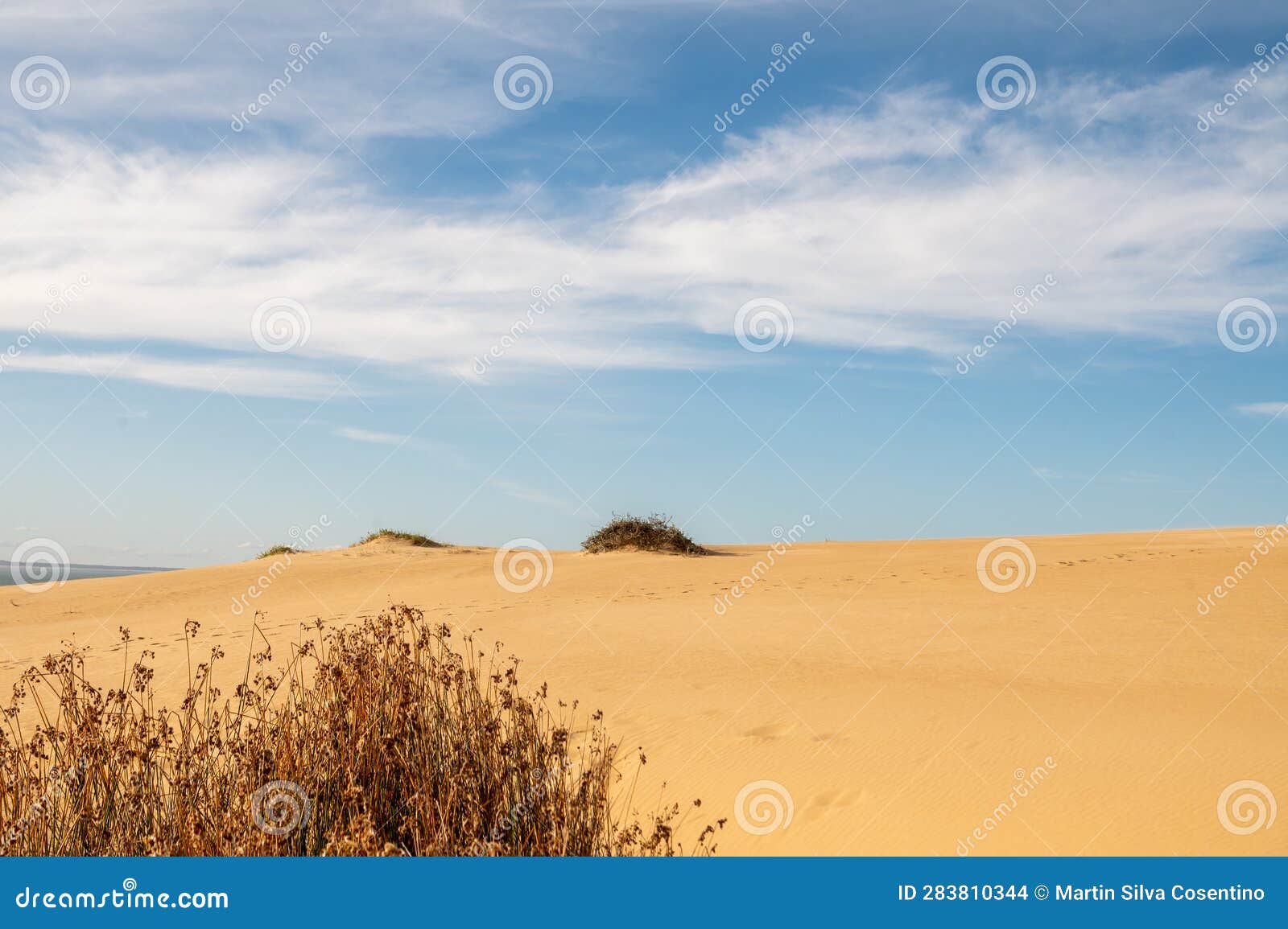 dunes of the cabo polonia national park in the department of rocha in uruguay