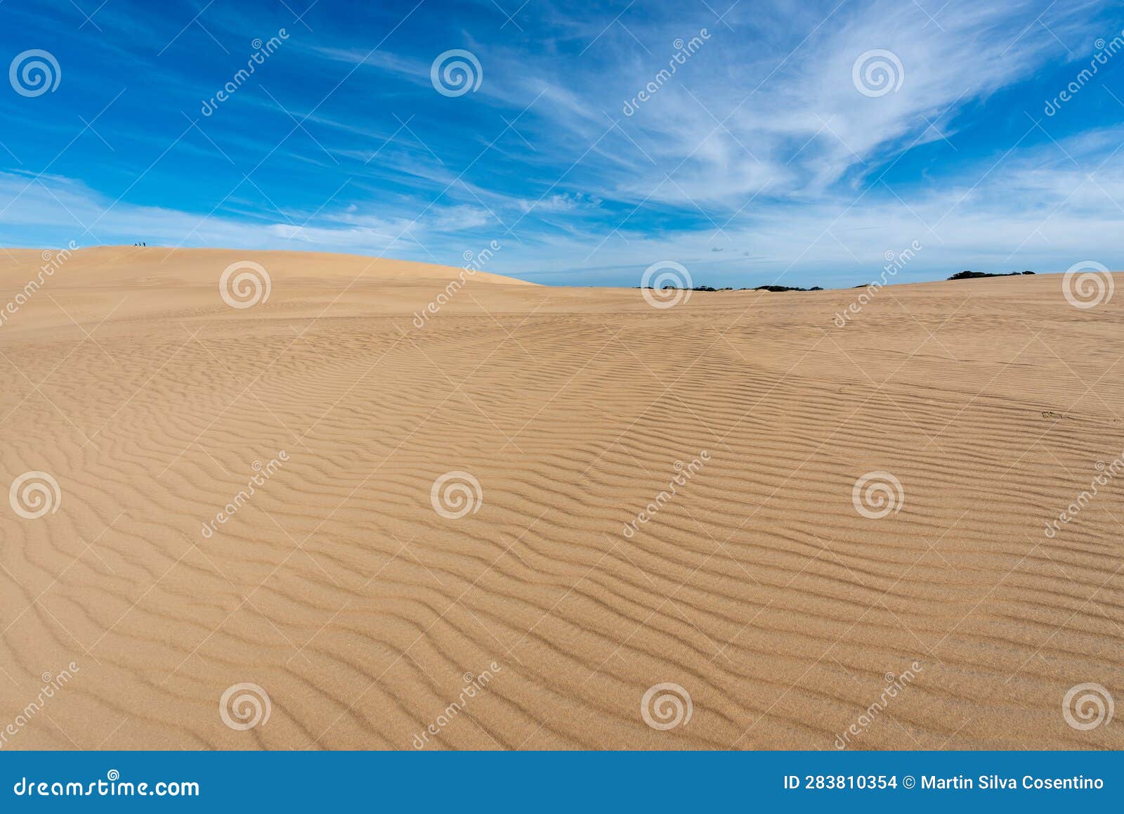 dunes of the cabo polonia national park in the department of rocha in uruguay