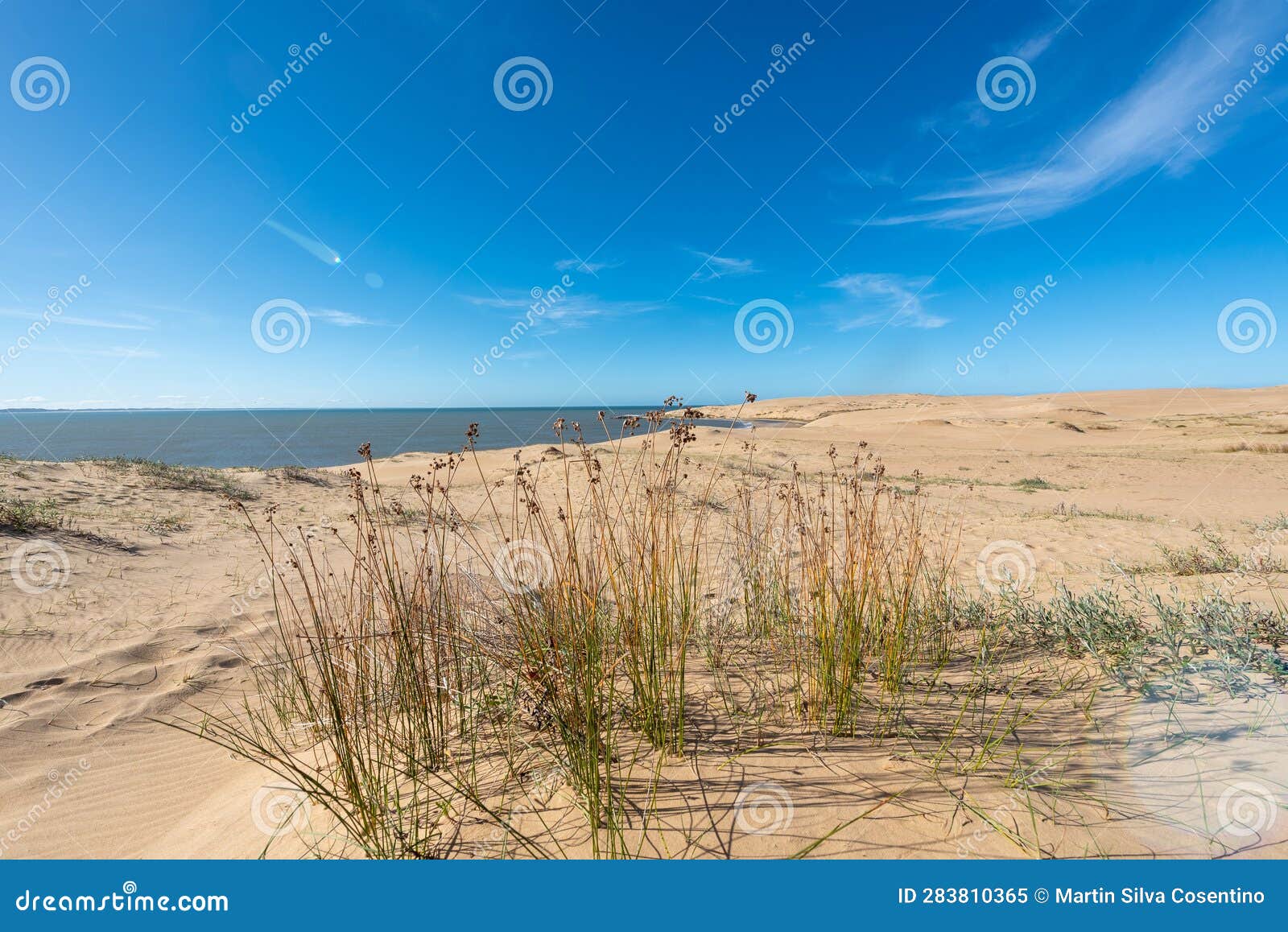 dunes of the cabo polonia national park in the department of rocha in uruguay