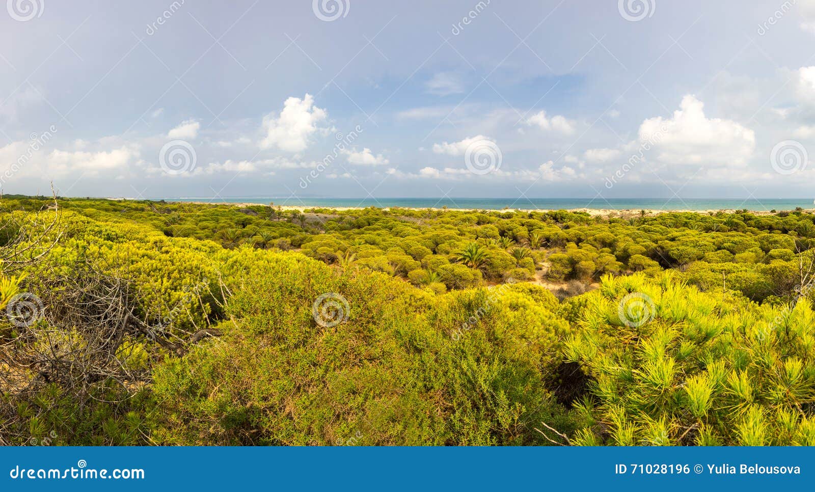 Dunes de La Marina foto de archivo. Imagen de azul, arena - 71028196