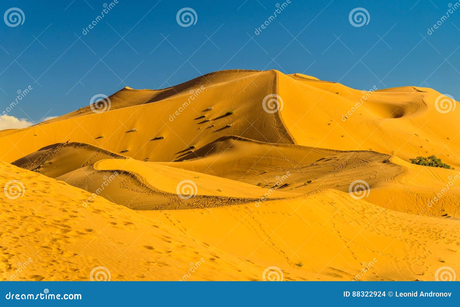 dunes of erg chebbi near merzouga in morocco