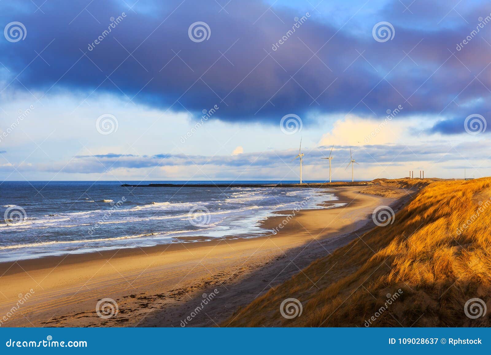 dunes at hvide sande beach