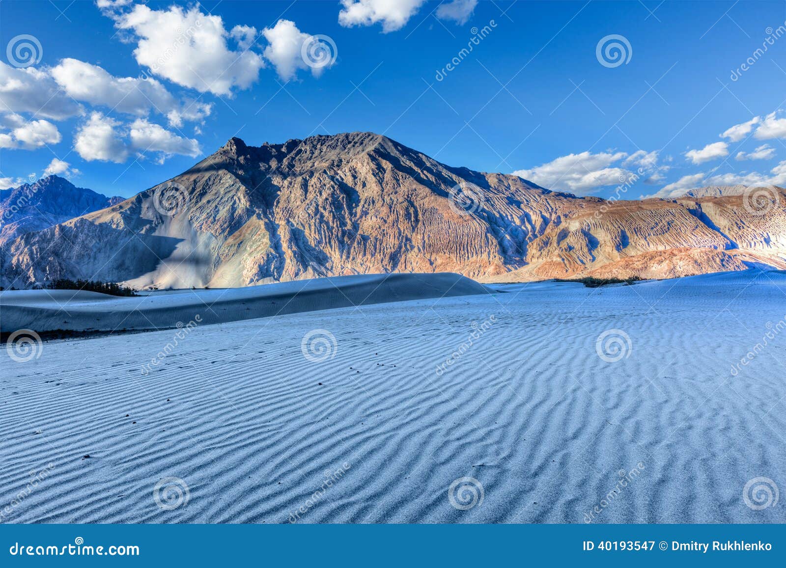 dunes in nubra valley, ladakh, india