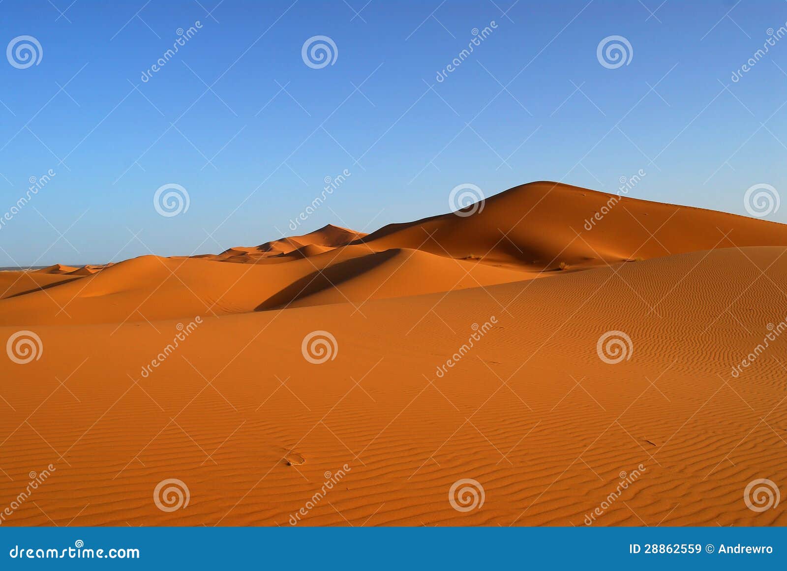 dunes of sahara desert