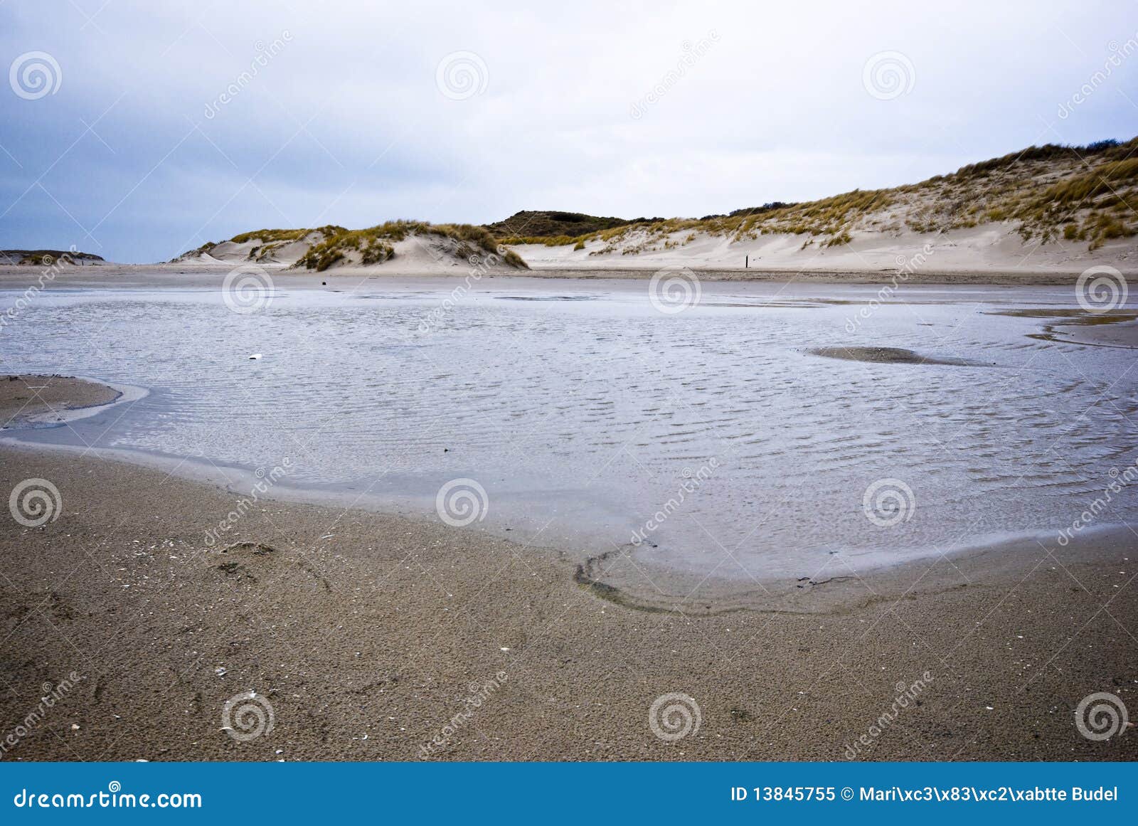 dunes of texel