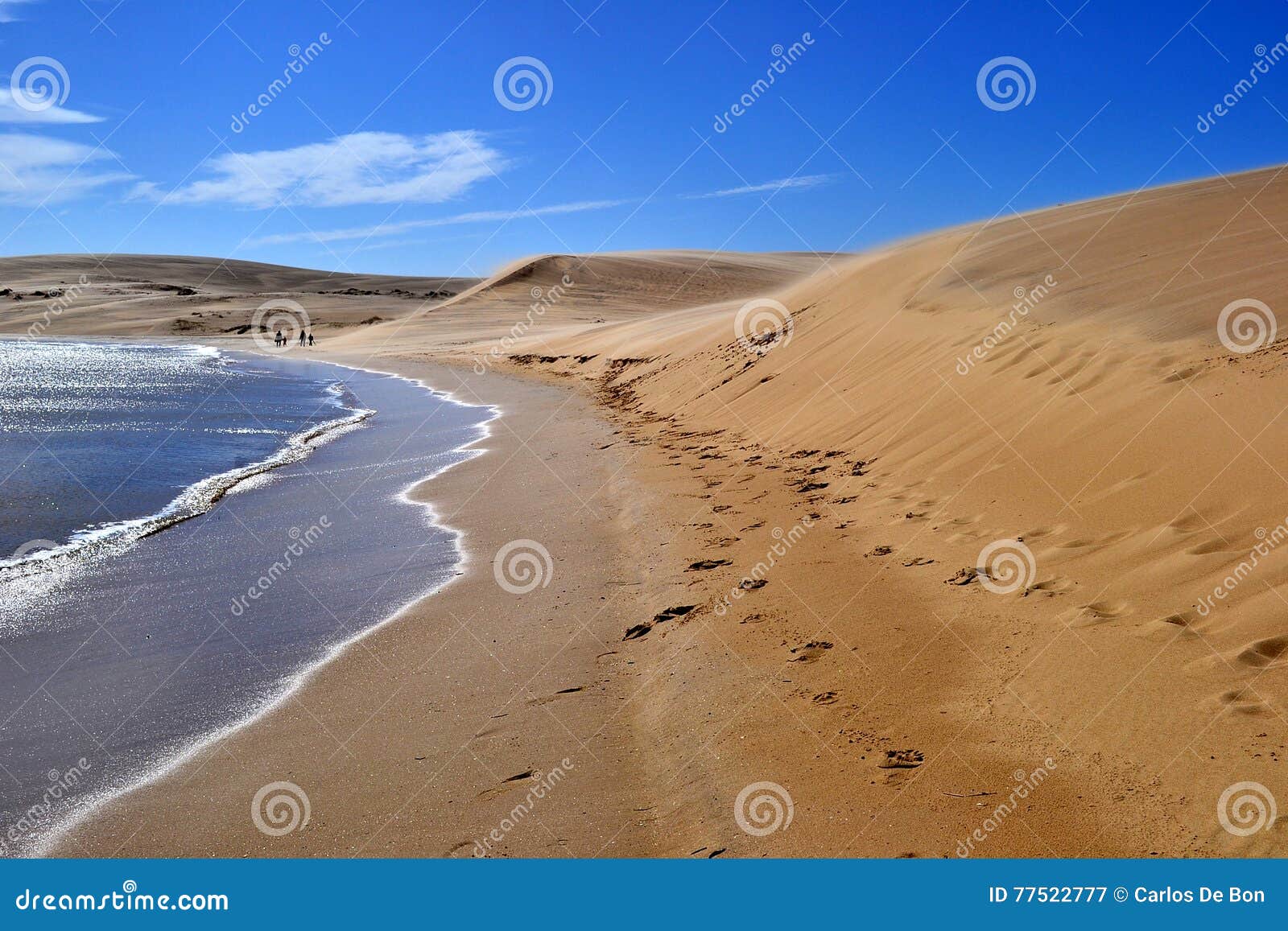 dunes of valizas