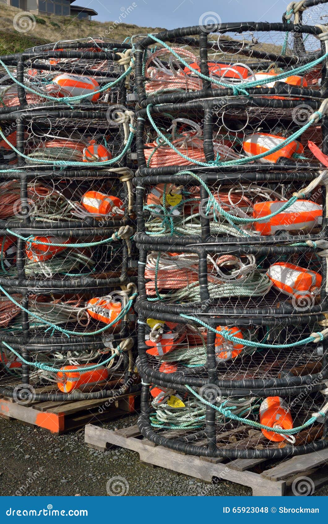 Dungeness Crab pots stock photo. Image of fishery, commercial 65923048