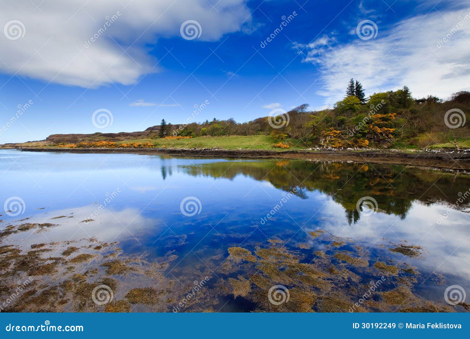 Dunvegan Loch, Isle of Skye, Scotland Stock Image - Image of skye ...