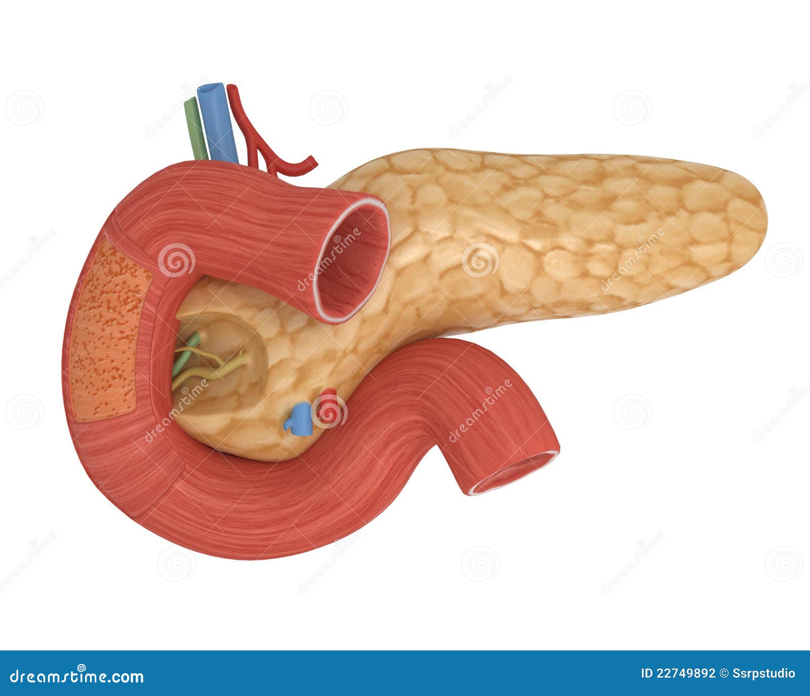 download the classification of knots and