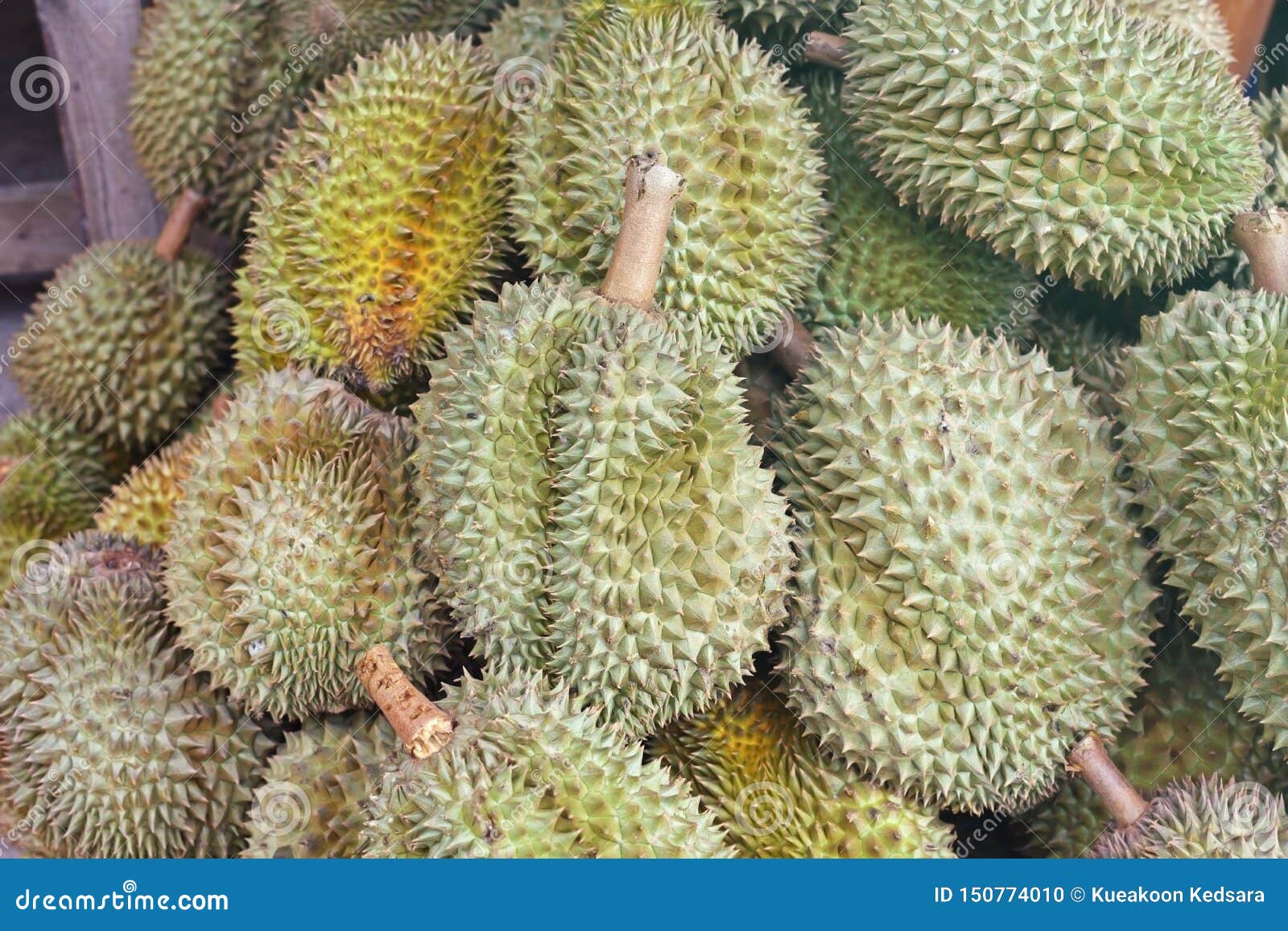 Durian King of Fruit in the Thai Market Stock Photo Image of