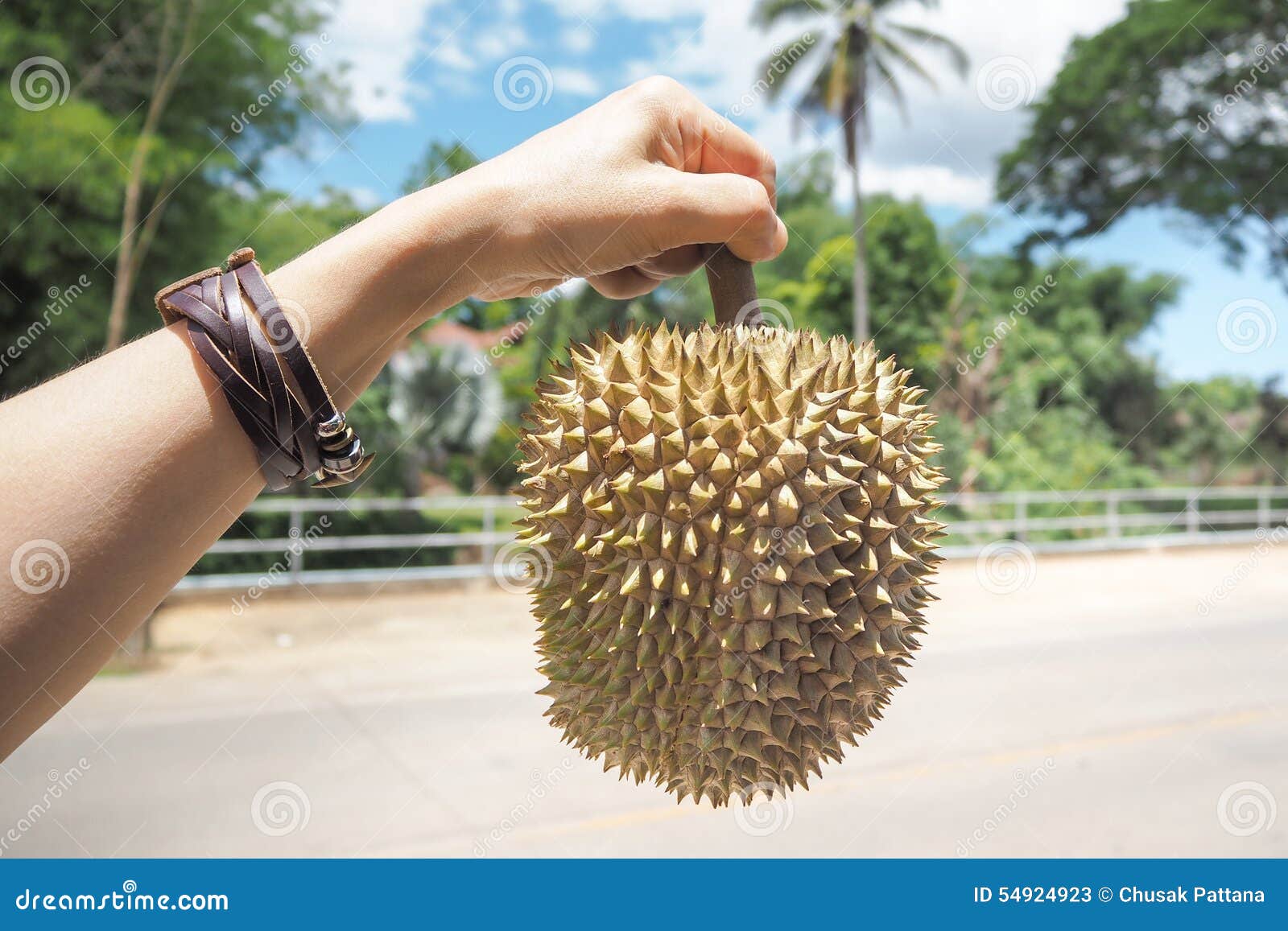 Durian stock image. Image of durian, delicious, smell - 54924923