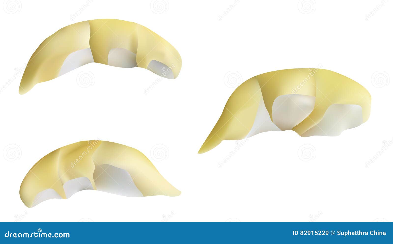 Illustration Of A Durian Fruit Cannot Be Carried On A Plane. On Board