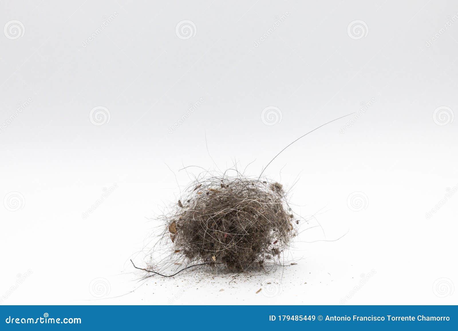 Dust Ball with Lots of Different Things Stock Image Image of