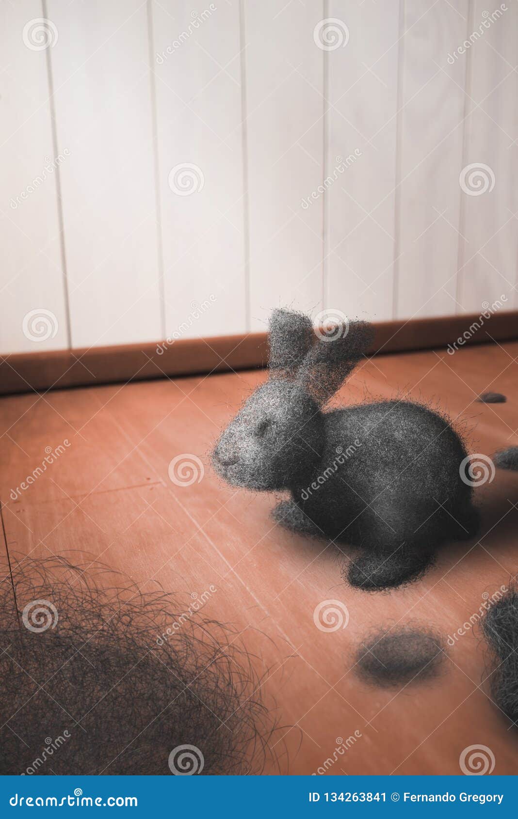 Dust bunny on the floor stock image. Image of garbage 134263841