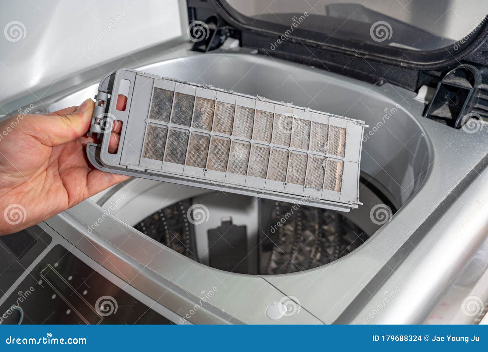 Dust and Dirt Trapped by the Washing Machine Filter. Stock Photo