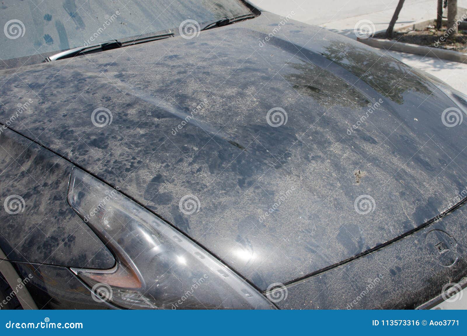 Dust hood of car stock photo. Image of dust, automotive 113573316