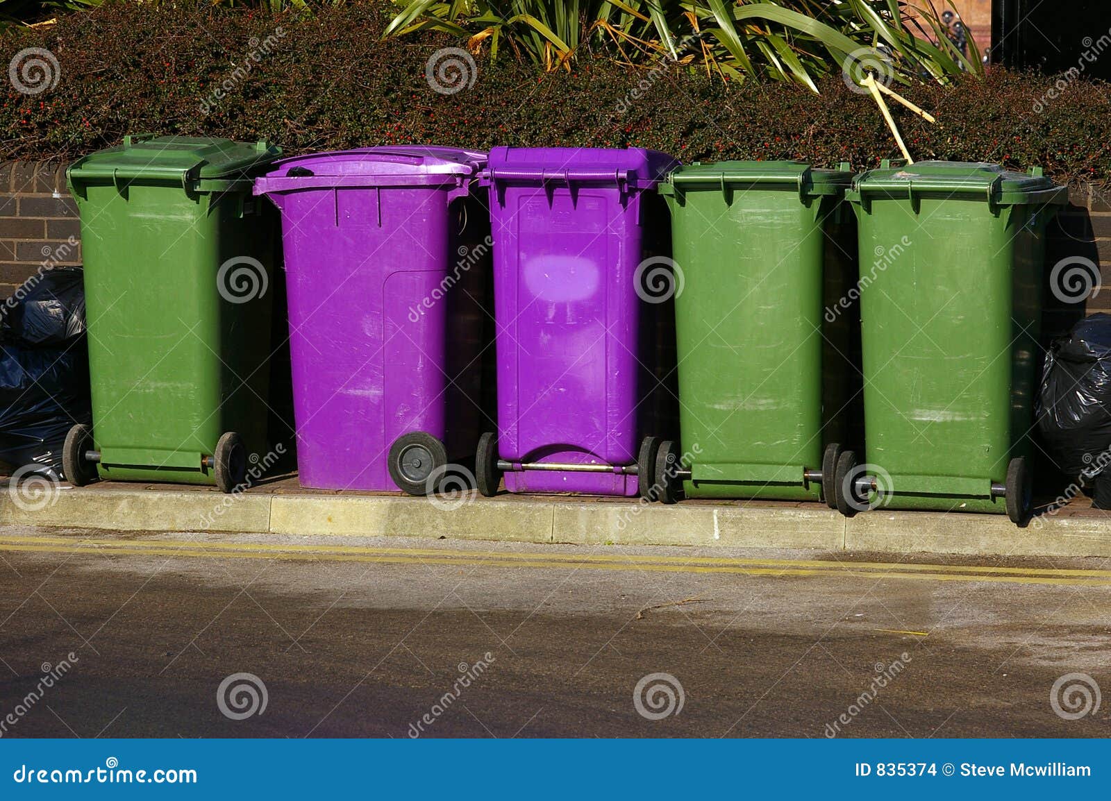Dustbins 01 stock photo. Image of round, purple, dust, liverpool 835374