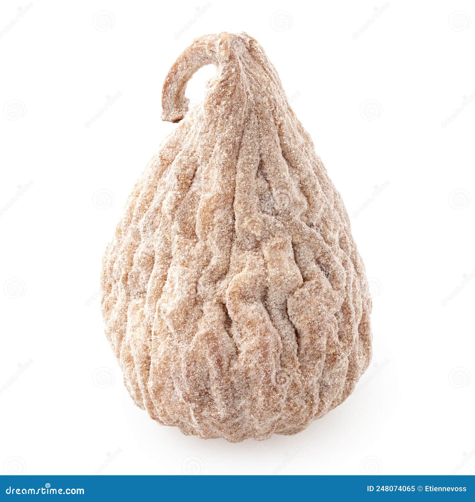 Dusted Dried Baby Fig Isolated on White Stock Image Image of baby