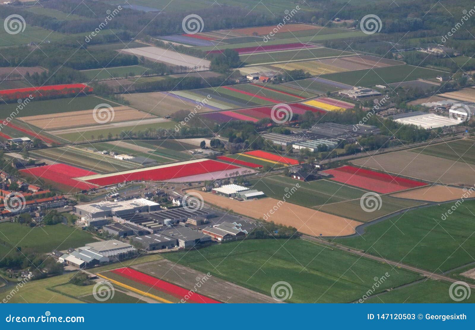 Dutch Bulbfields from the Air Stock Image Image of pattern, plane