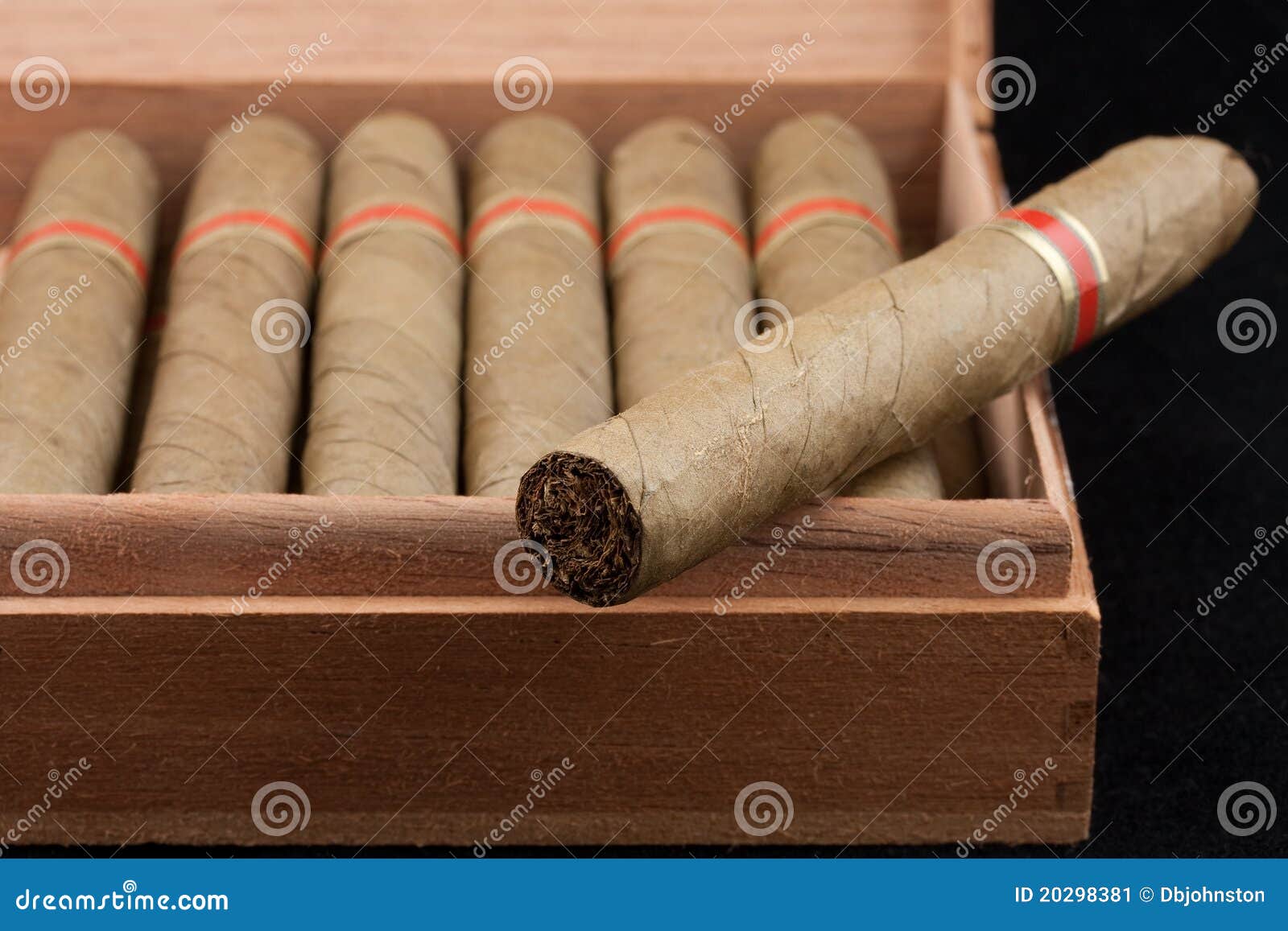 Dutch Cigars in a Wooden Box Stock Image Image of leisure, closeup