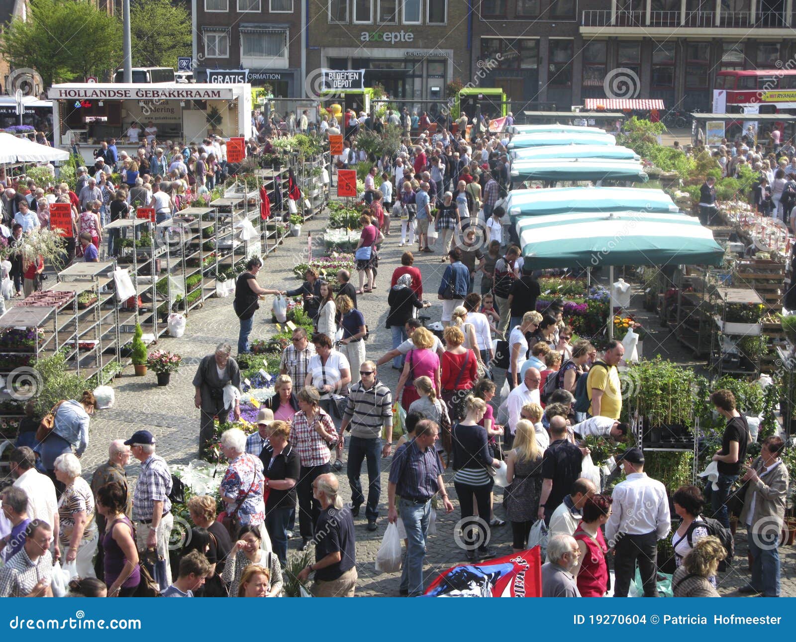On a Dutch flower market editorial stock image. Image of garden 19270604