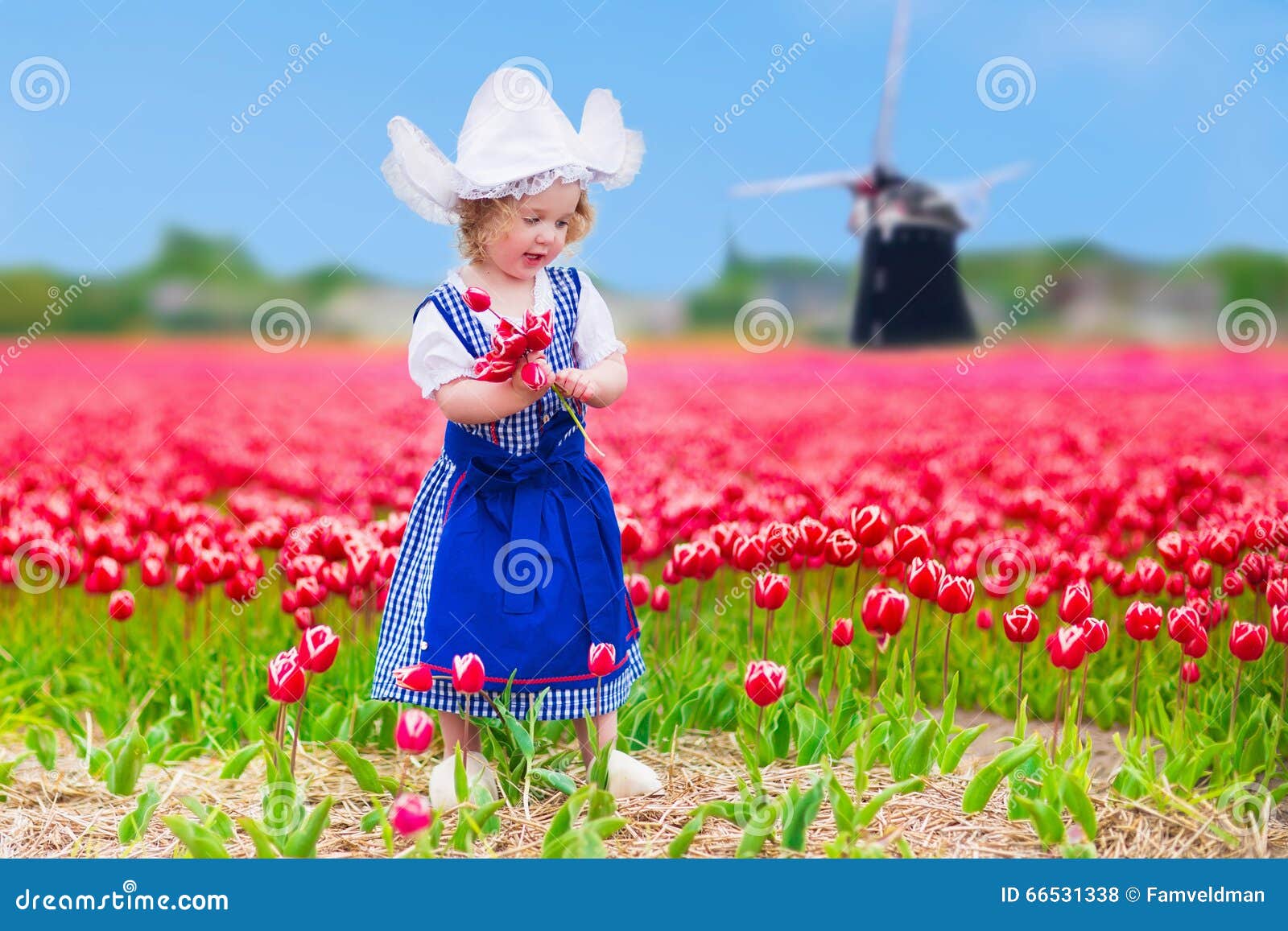 Dutch Girl in Tulip Field in Holland Stock Photo - Image of dutch ...