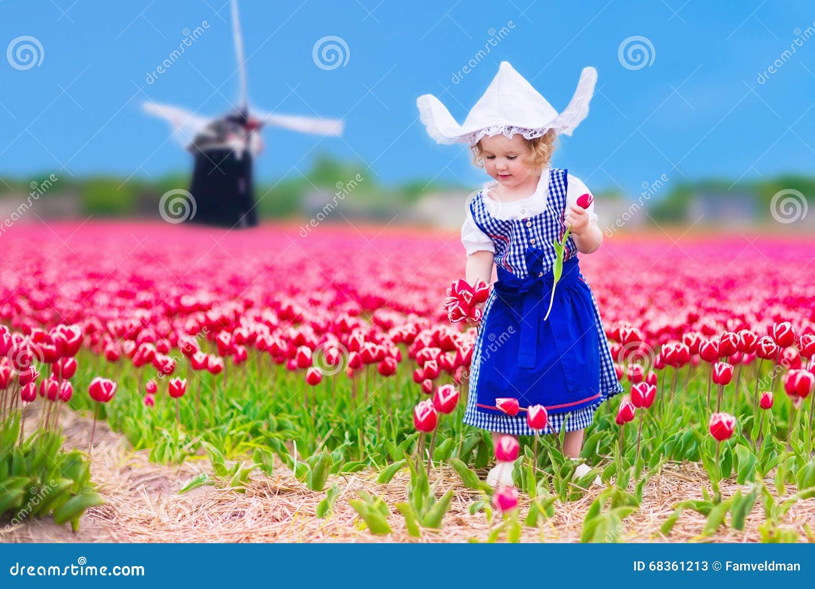 Dutch Girl in Tulip Field in Holland Stock Image - Image of culture ...