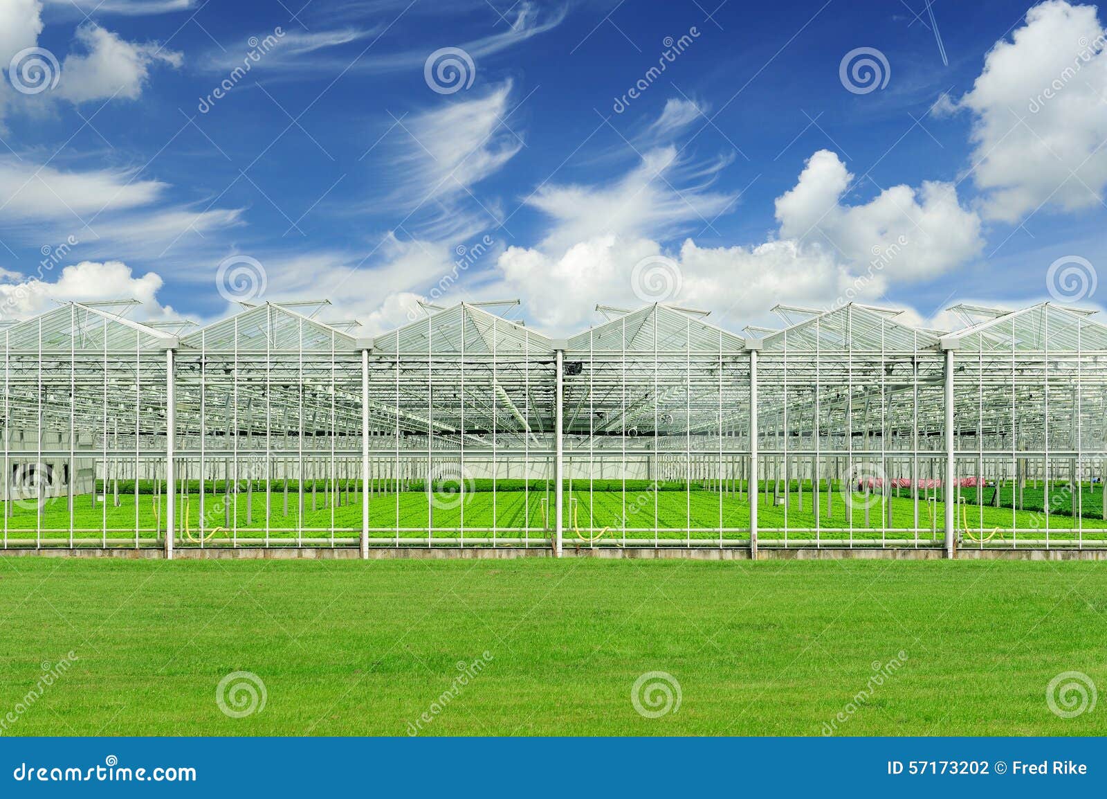 Dutch greenhouse stock photo. Image of field, greenhouses 57173202