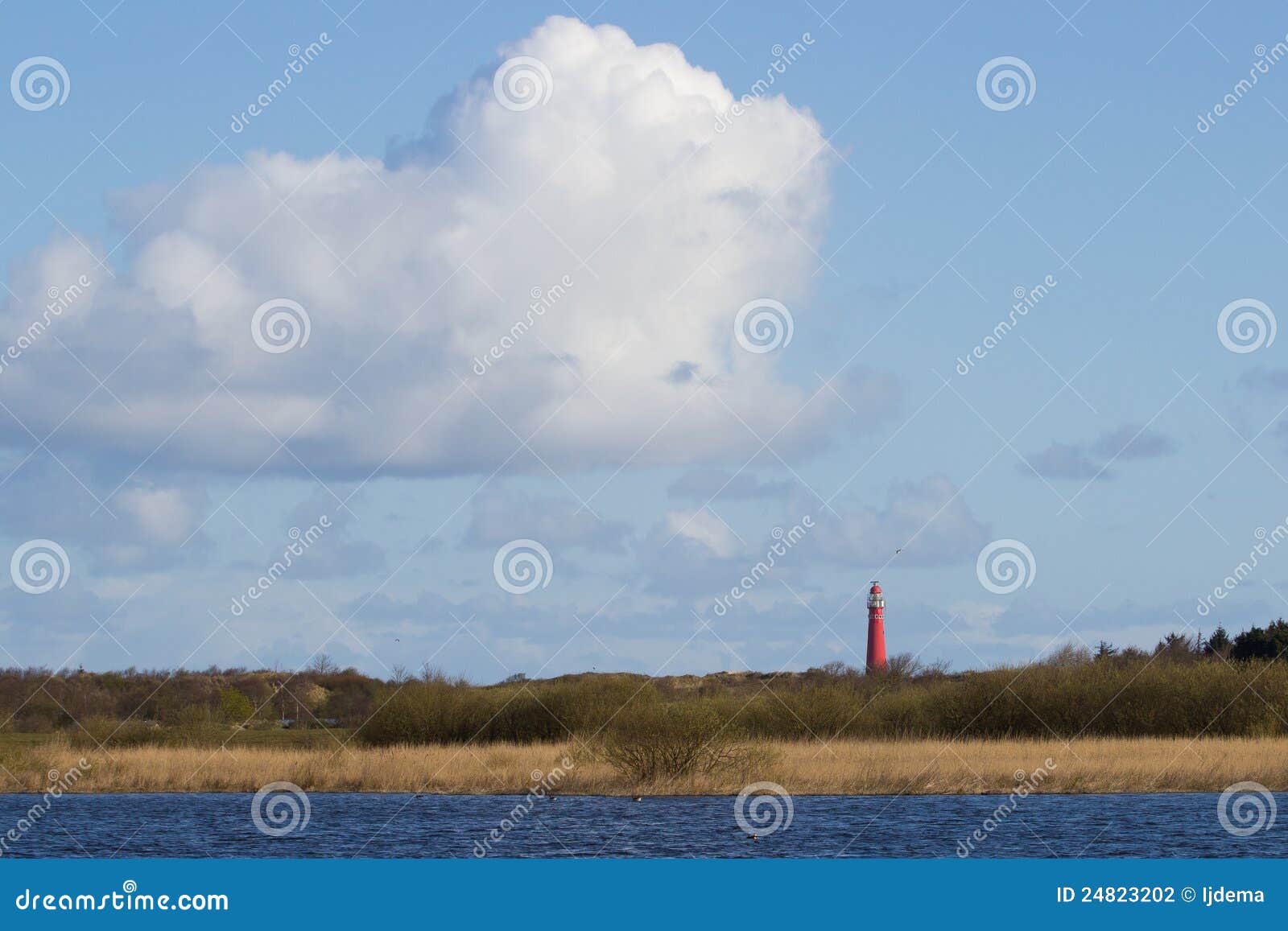 dutch isle schiermonnikoog