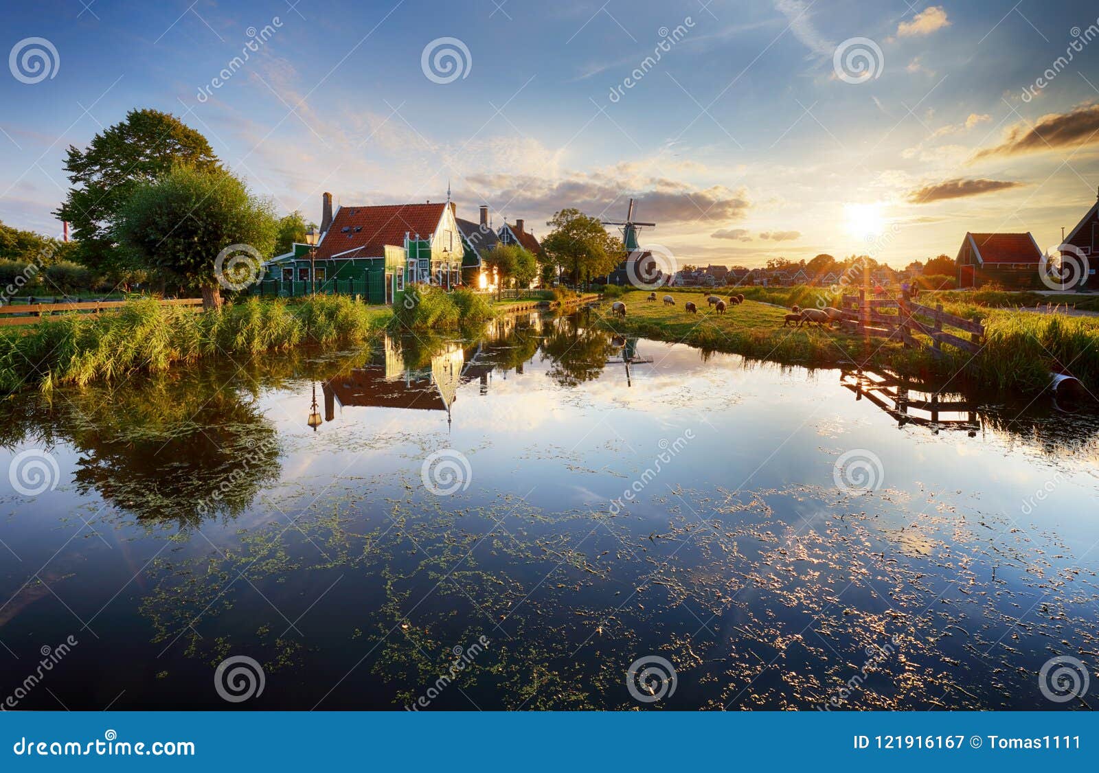 dutch landscape with windmill at dramatic sunset, zaandam, amste