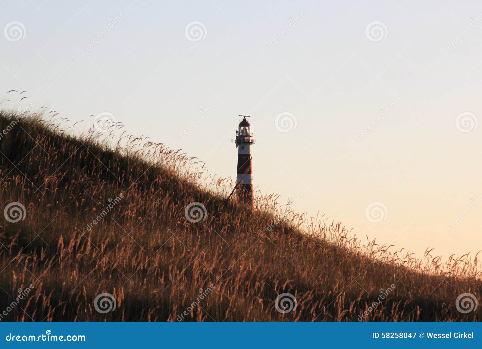 dutch lighthouse bornrif in ameland dunes near hollum