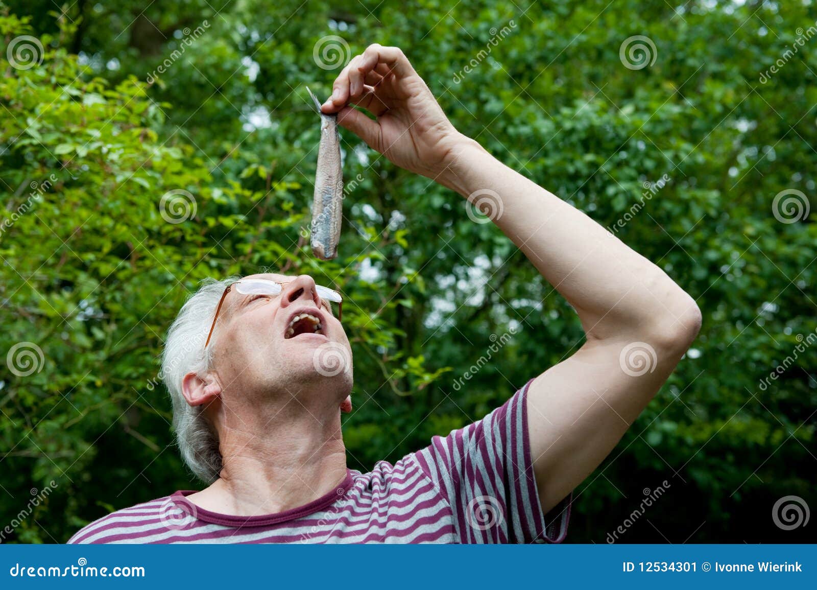 Dutch Man Is Eating Herring Stock Image Image 12534301