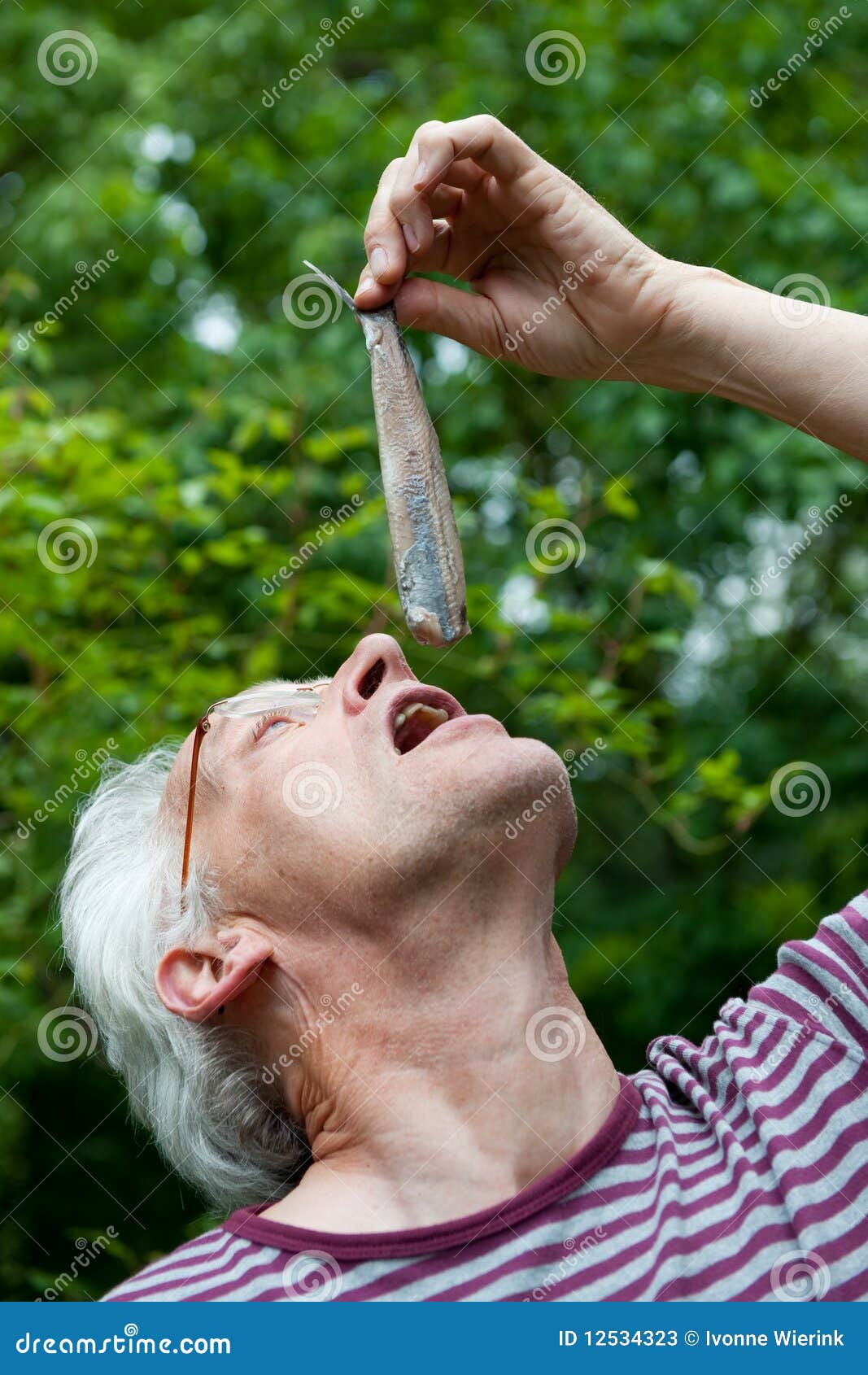 Dutch Man is Eating Herring Stock Image Image of salt, eating 12534323