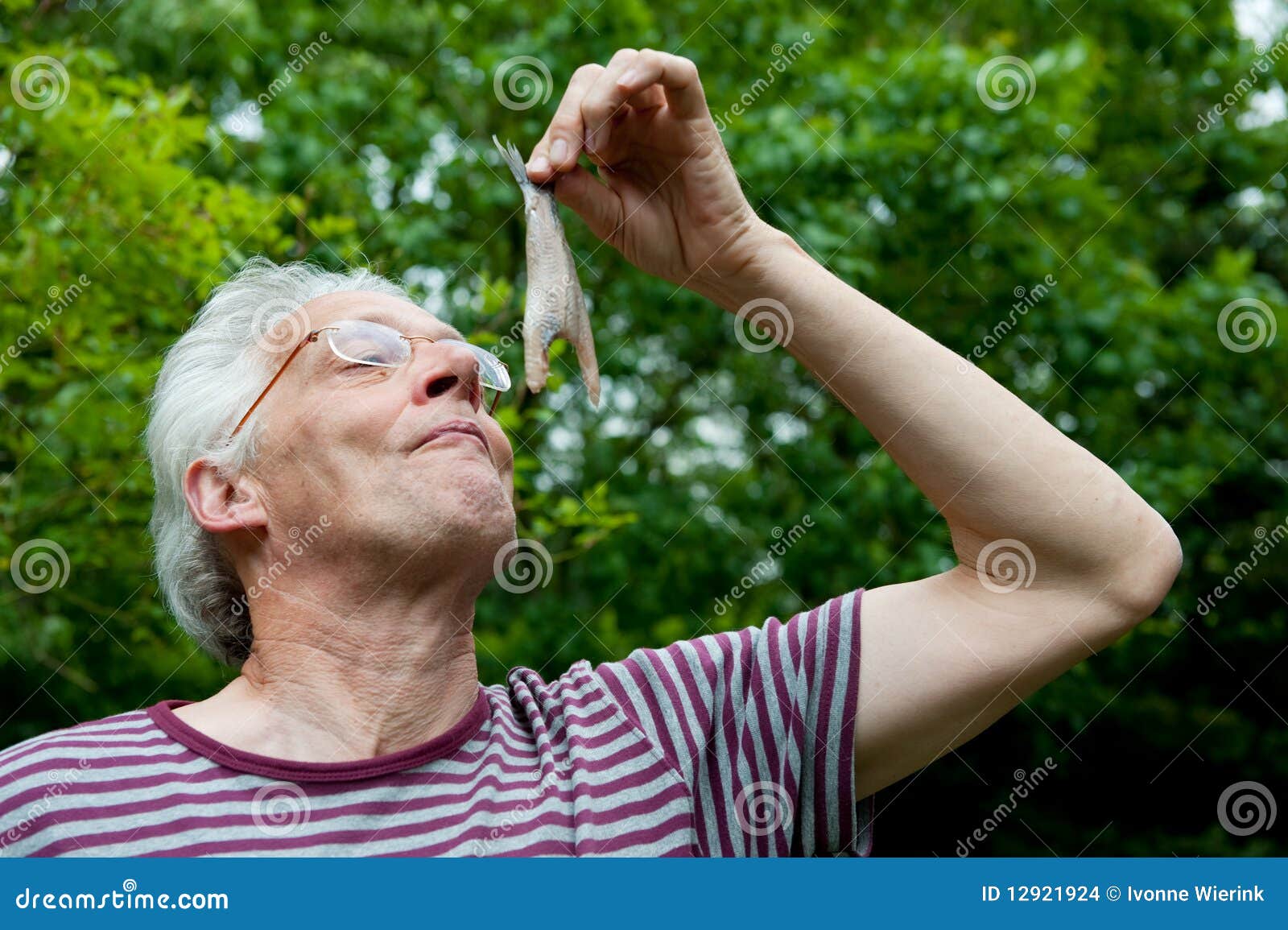 Dutch Man is Eating Herring Stock Photo Image of fish, nature 12921924