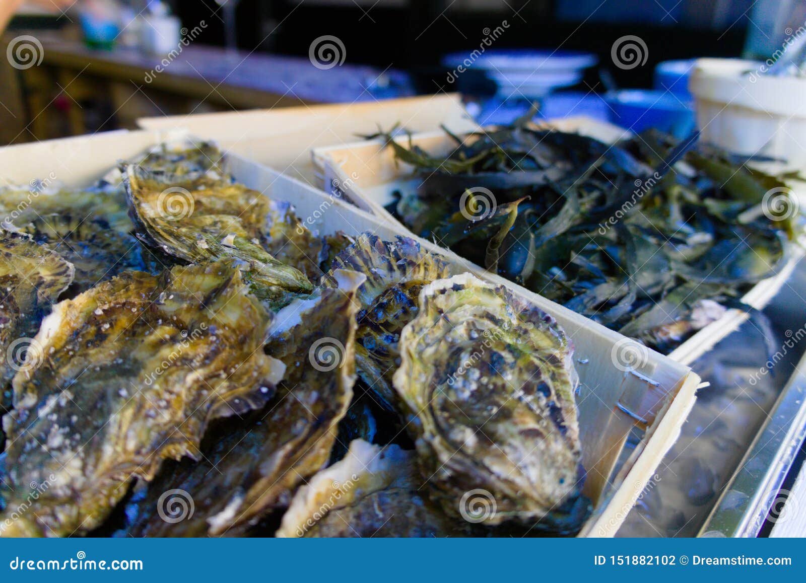 Mussels Sold on the Street Fair Stock Photo Image of dish, boiled