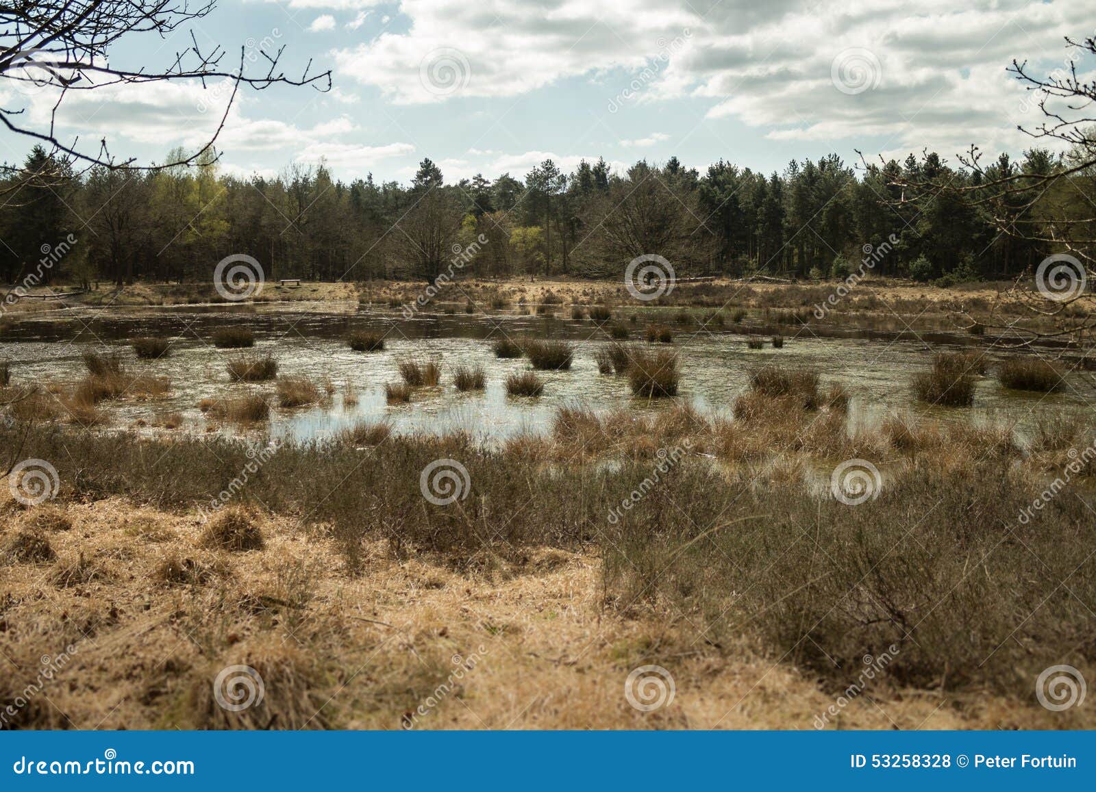 Dutch nature water stock photo. Image of water, dutch - 53258328