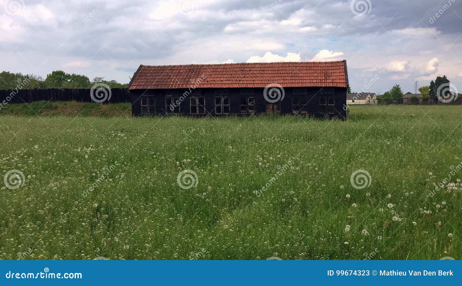 Dutch Nature stock image. Image of plain, building, agriculture - 99674323