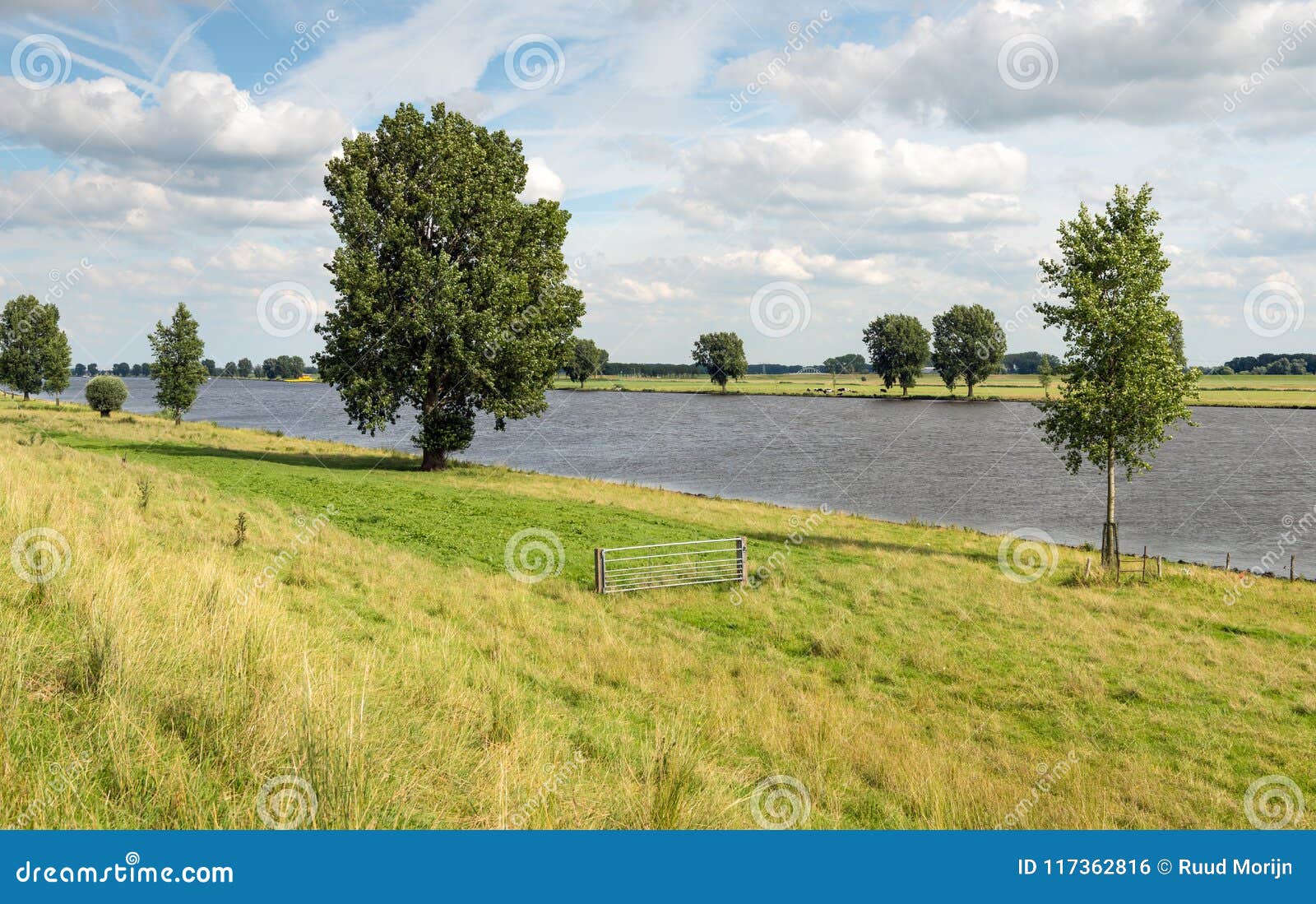dutch river bergsche maas