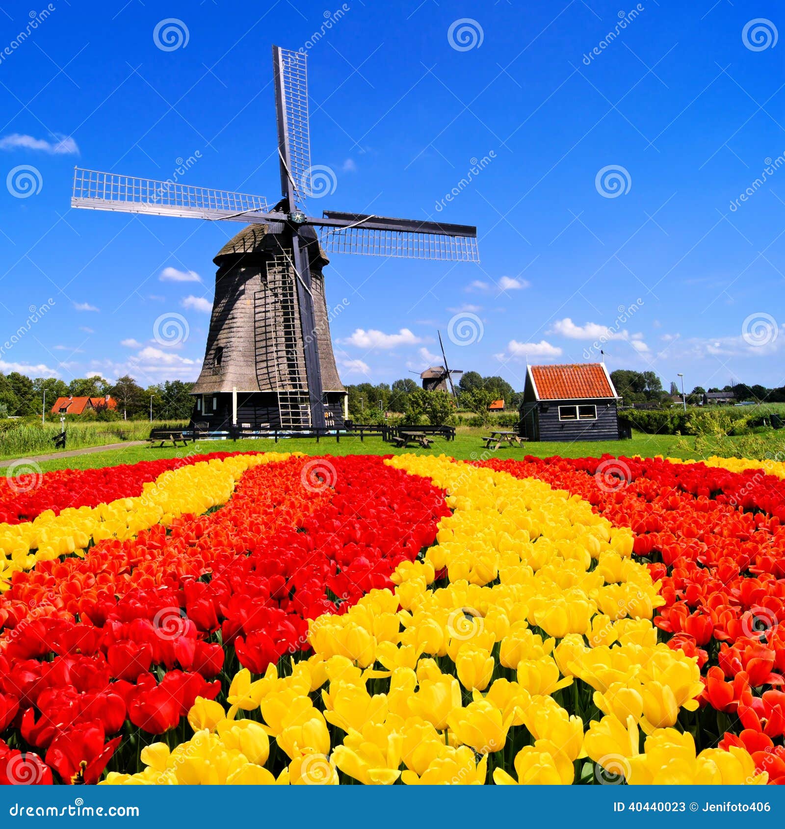 Multicolor Cozy Plush for Indoor and Outdoor Use Ambesonne Amsterdam Soft Flannel Fleece Throw Blanket Idyllic Spring Morning Photo with Dutch Tulips Canal and Windmill in Netherlands 70 x 90 Multicolor Cozy Plush for Indoor and Outdoor Use Ambesonne Amsterdam Soft Flannel Fleece Throw Blanket Idyllic Spring Morning Photo with Dutch Tulips Canal and Windmill in Netherlands 70 x 90