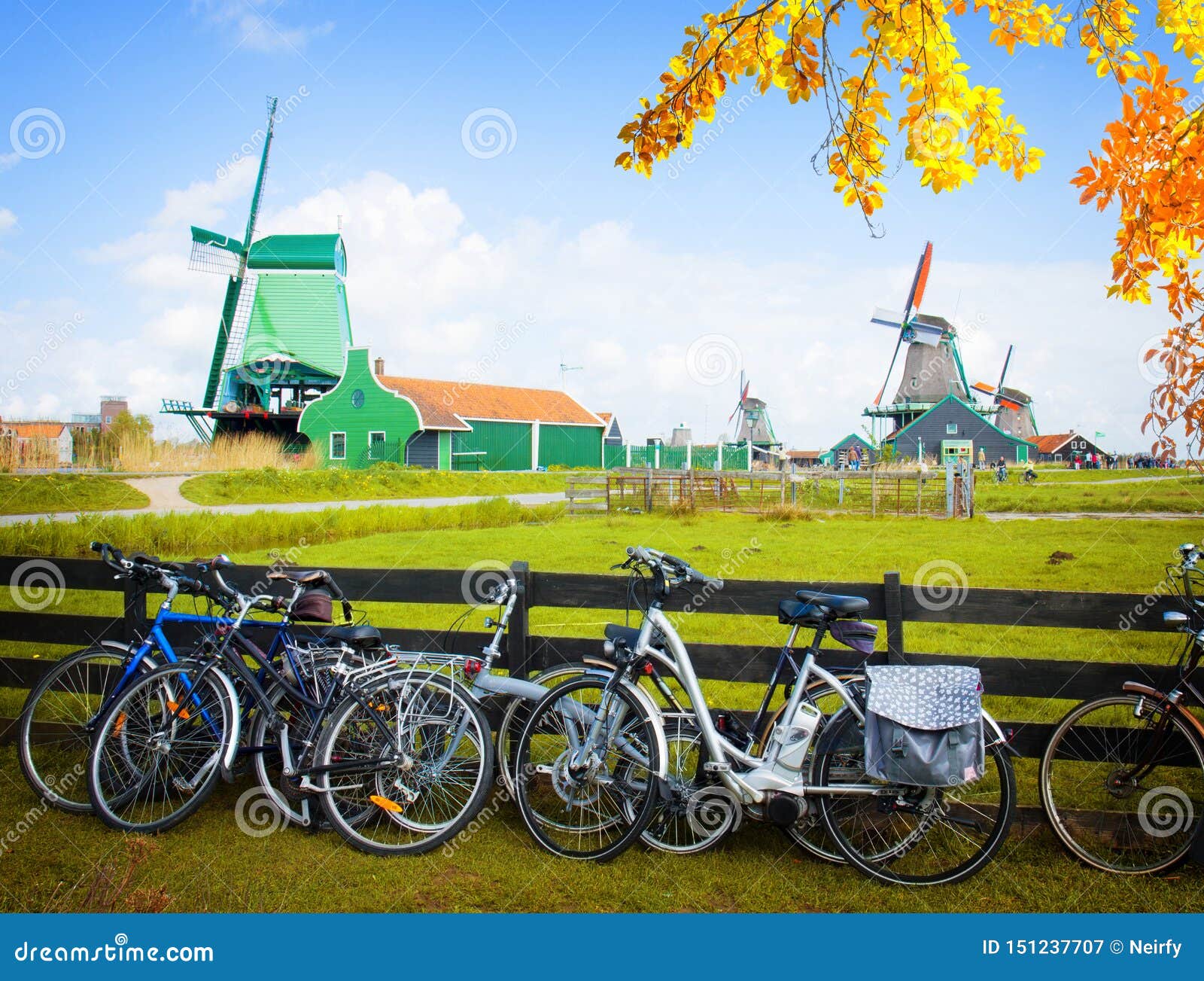Dutch Windmills with Bikes in Zaanse Schans Stock Image Image of