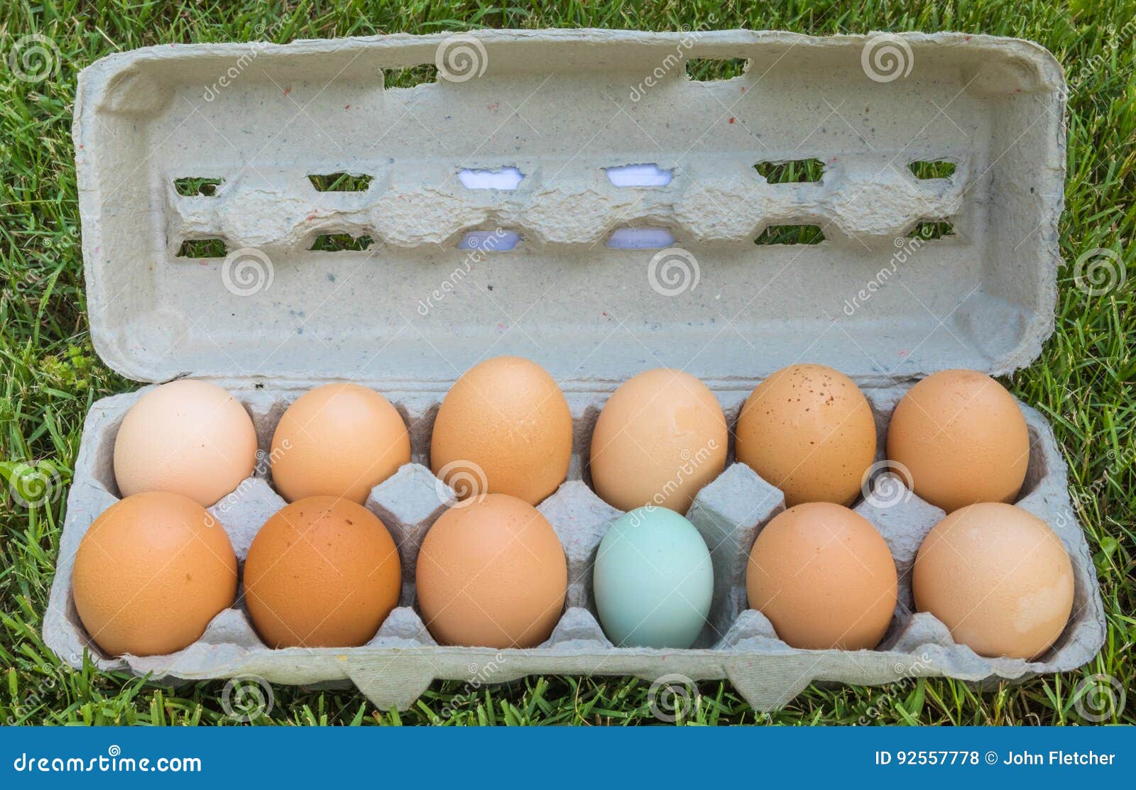 Dutzend Eier Eine Dieser Sachen Ist Nicht Wie Die Anderen Stockfoto Bild Von Eier Sachen