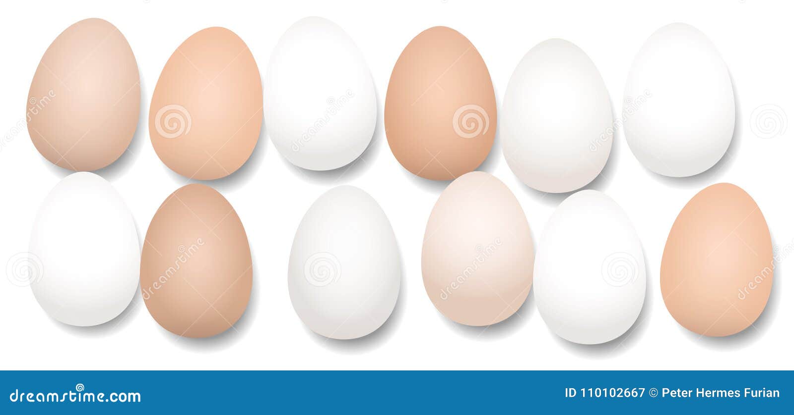 Dutzend Eier Zwolf Stucke Vektor Abbildung Illustration Von Eier