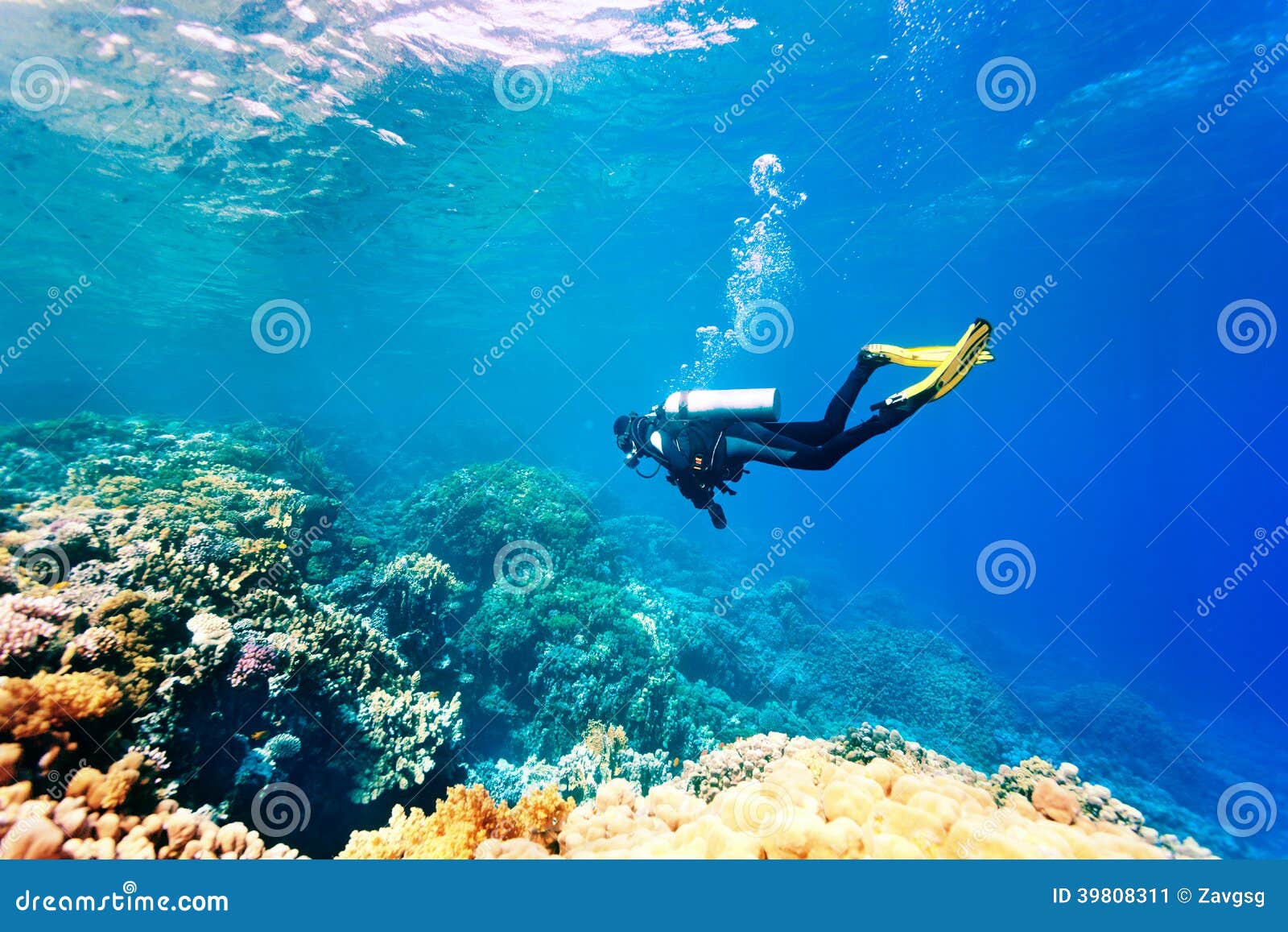 dver swimming under water