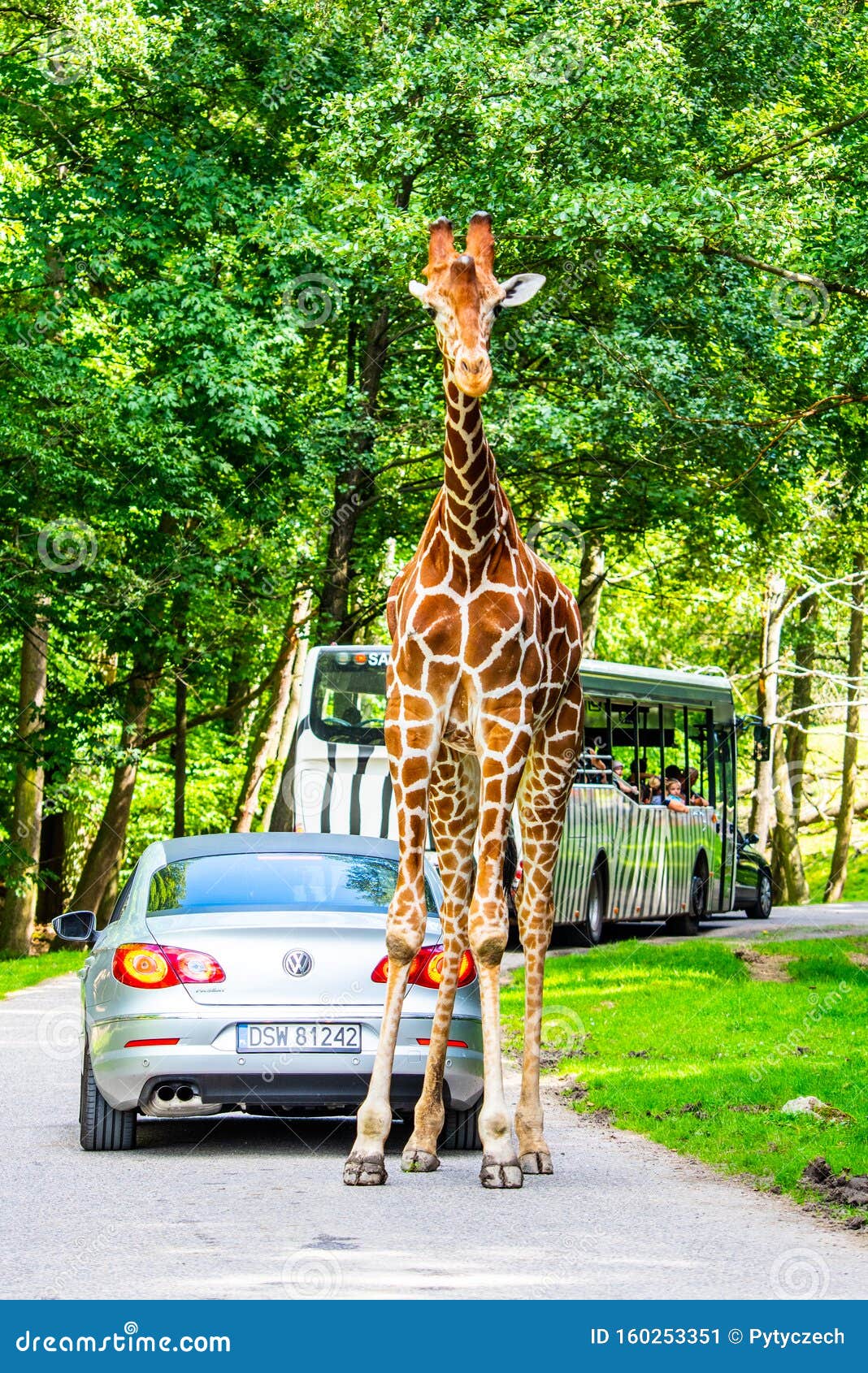 safari zoo w czechach