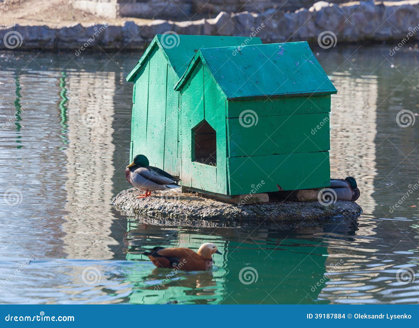 Dwa dom dla waterfowl w zoo, letni dzień