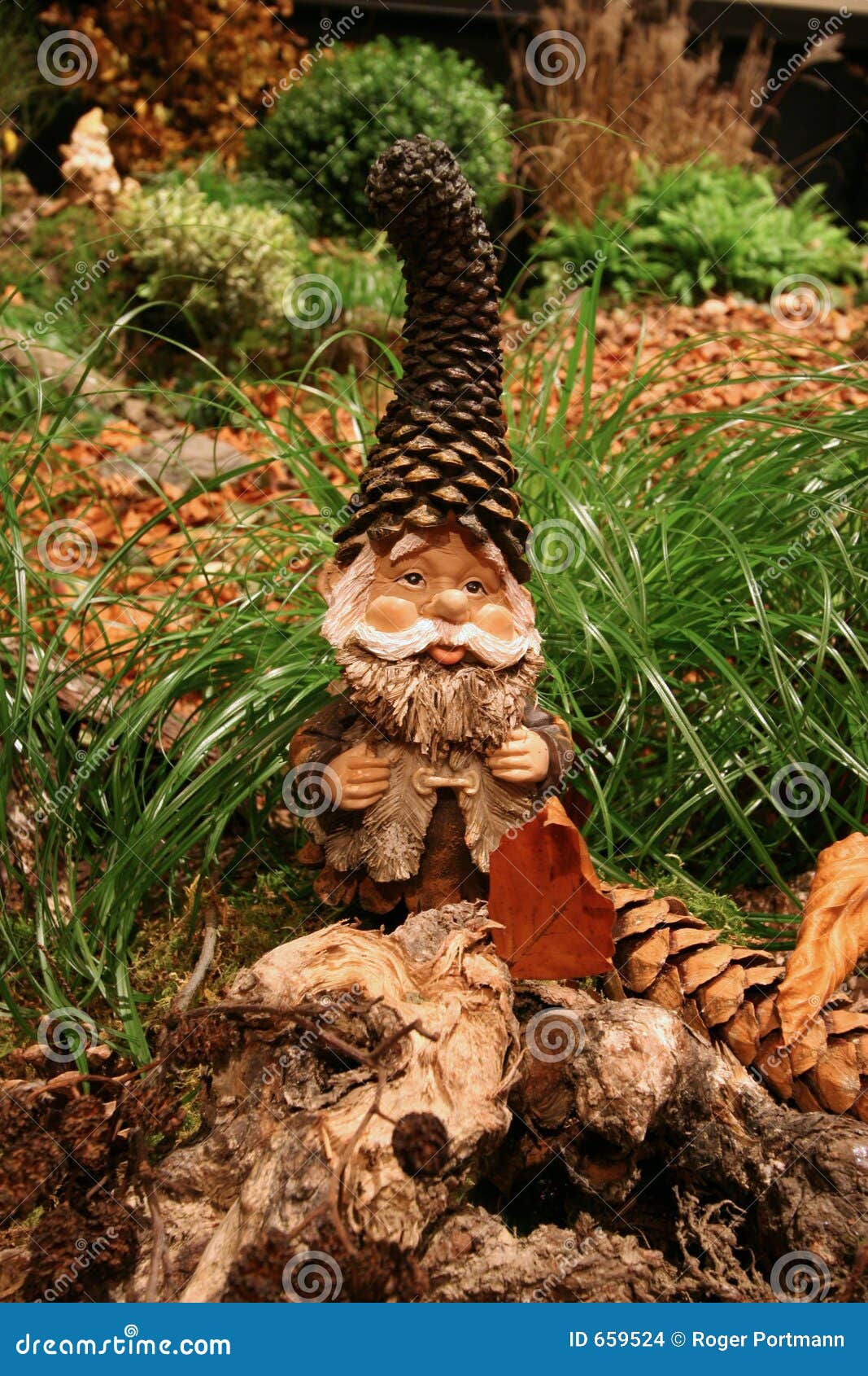 dwarf