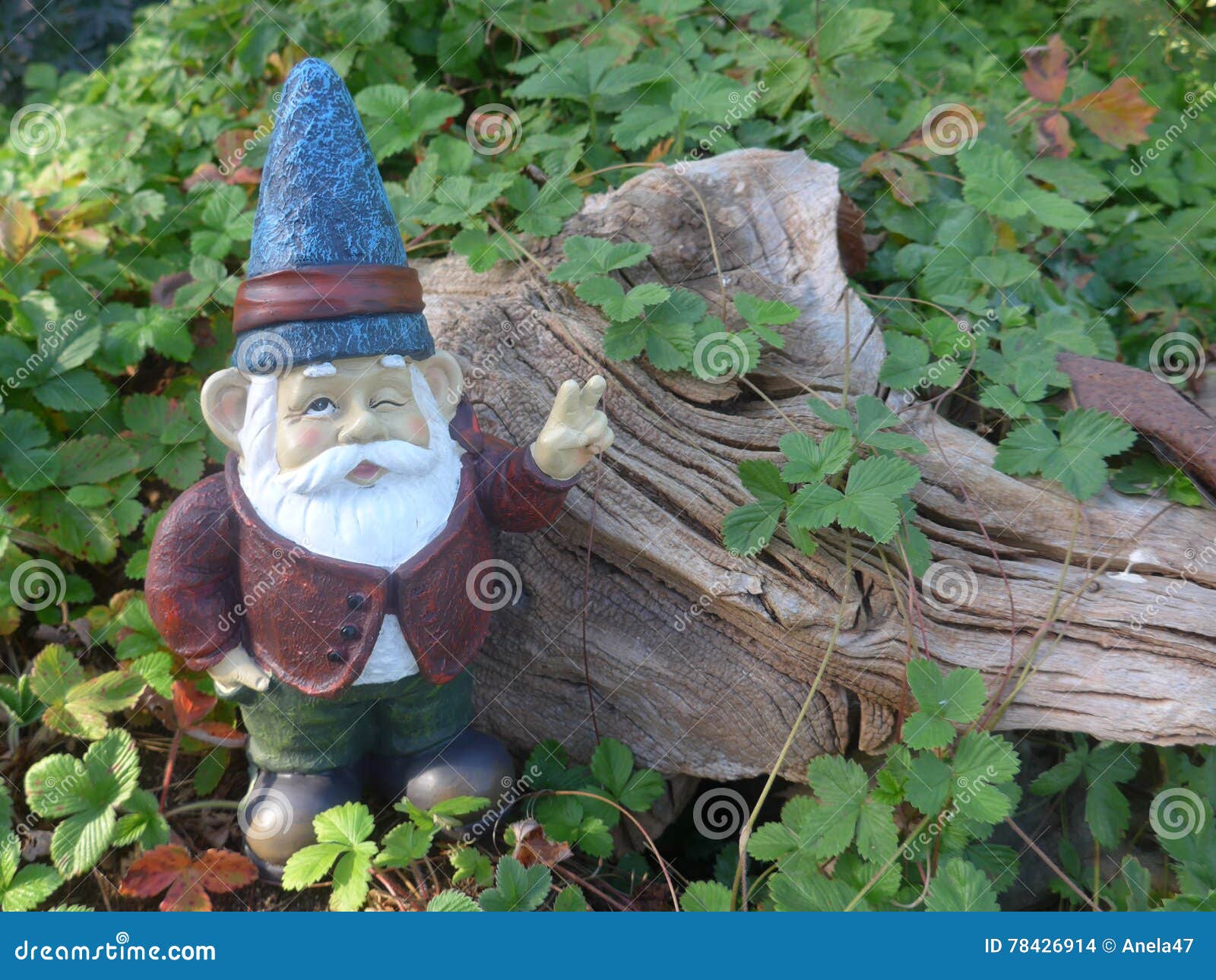 dwarf in front of wooden root
