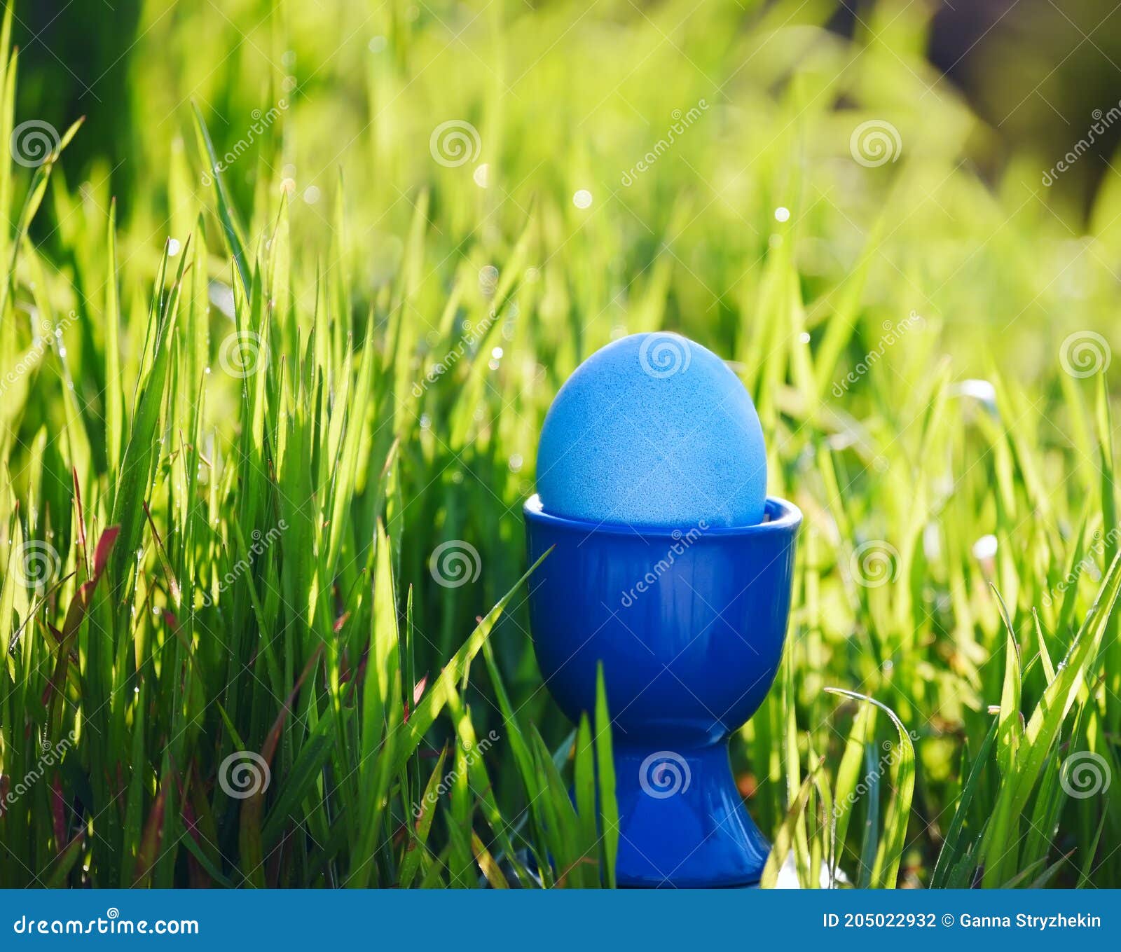 Dyed Blue Easter Egg in Green Grass. Stock Photo Image of tradition
